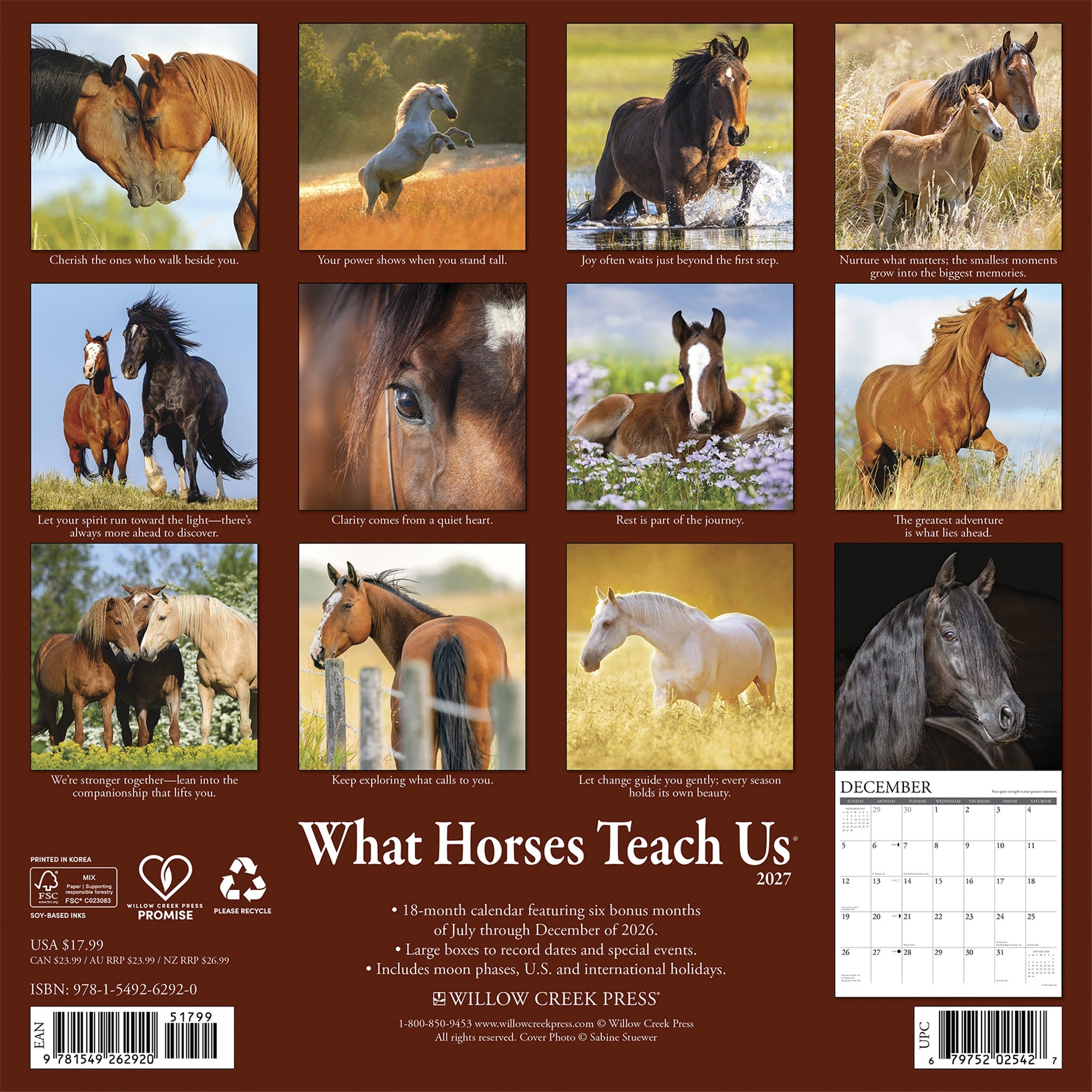What Horses Teach Us 2027 Wall Calendar