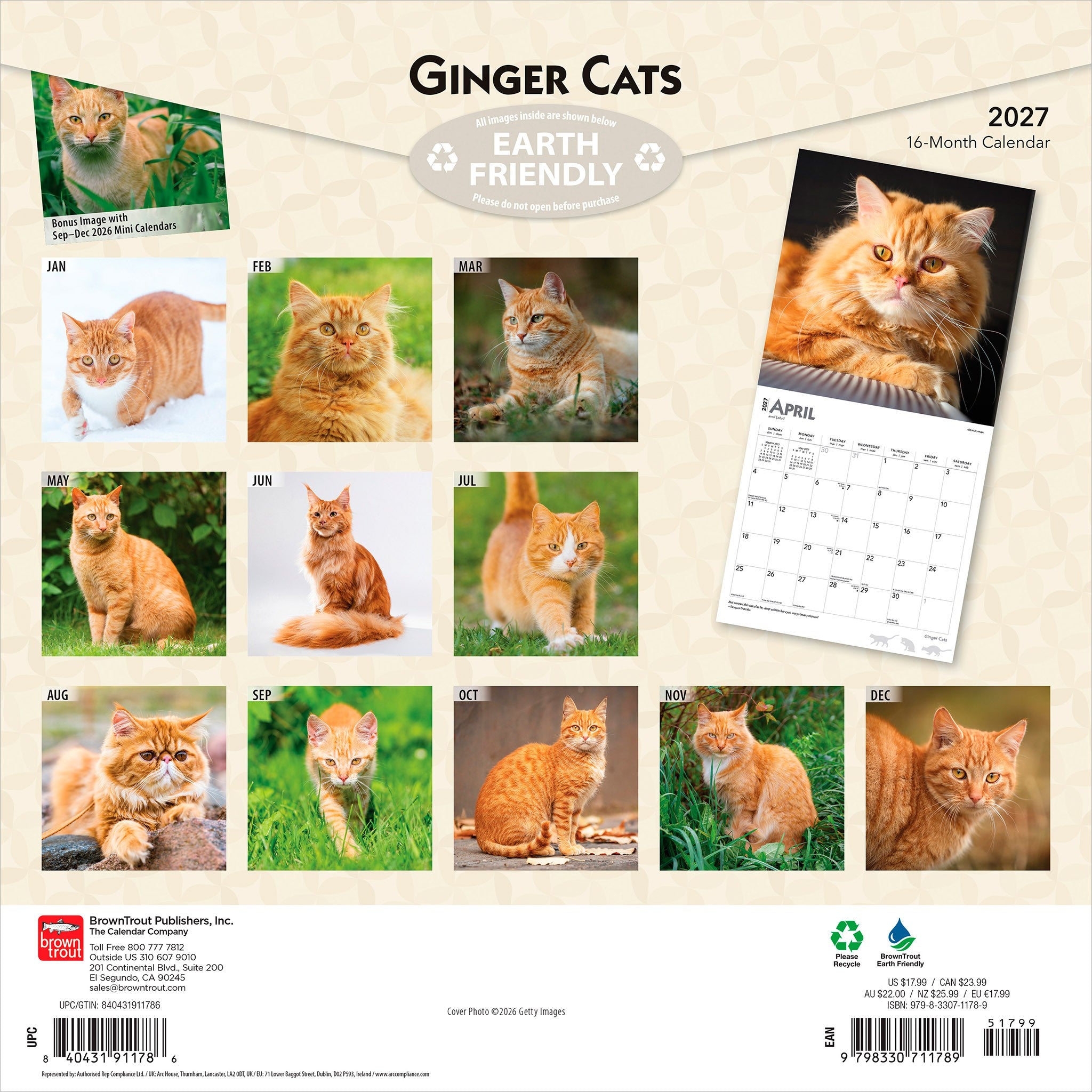 Ginger Cats 2027 Wall Calendar