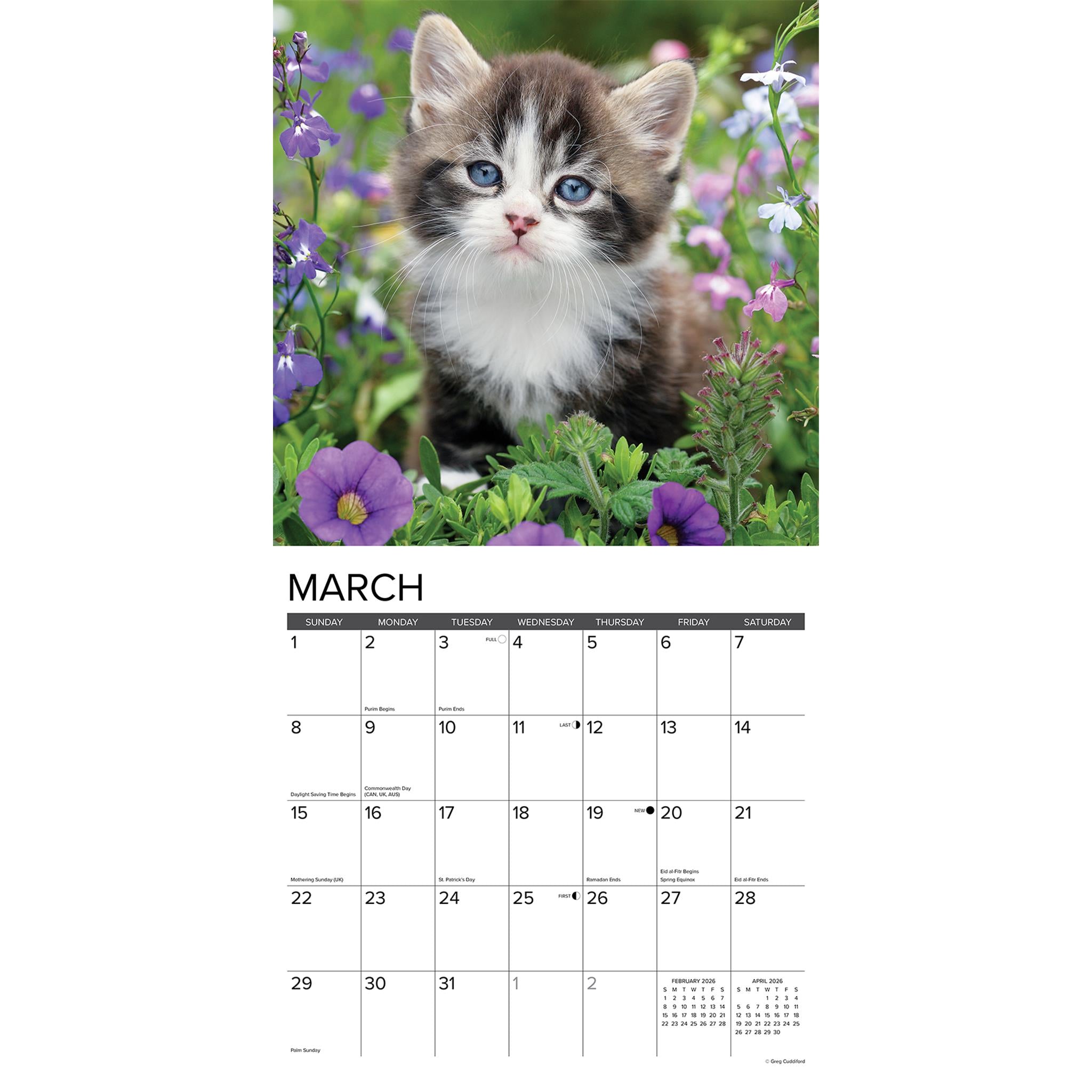Calendrier mural Just Kittens 2026