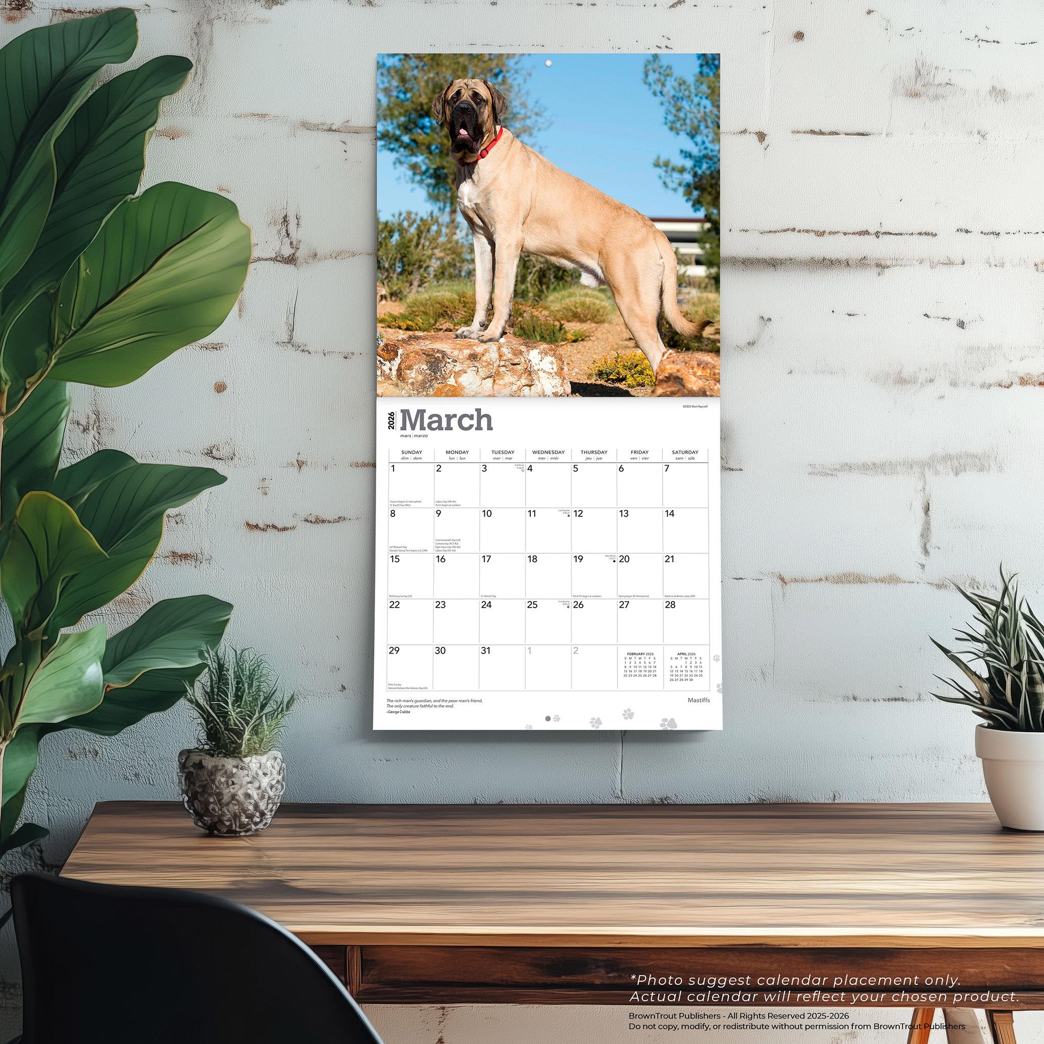 Mastiffs 2026 Wall Calendar