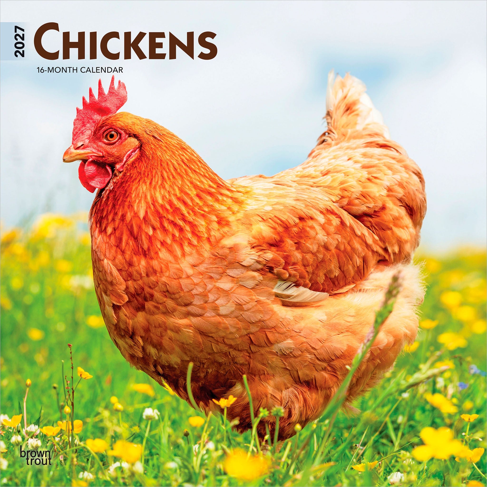 Chickens 2027 Wall Calendar