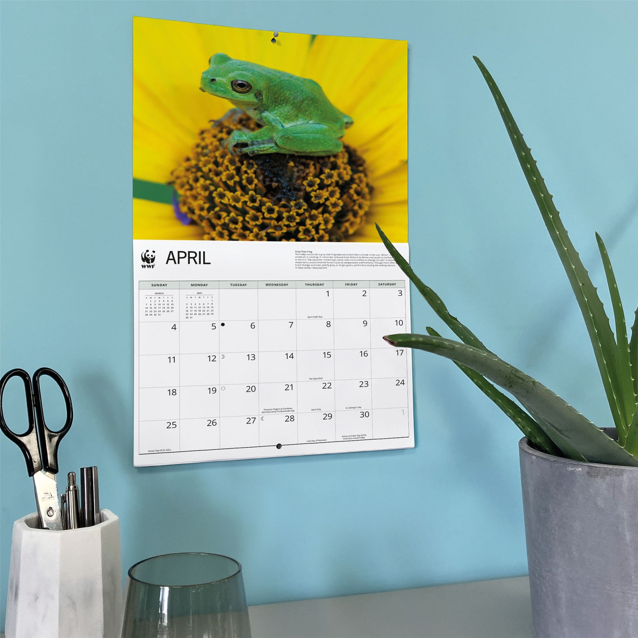 Calendrier mural 2027 Grenouilles du Fonds mondial pour la nature