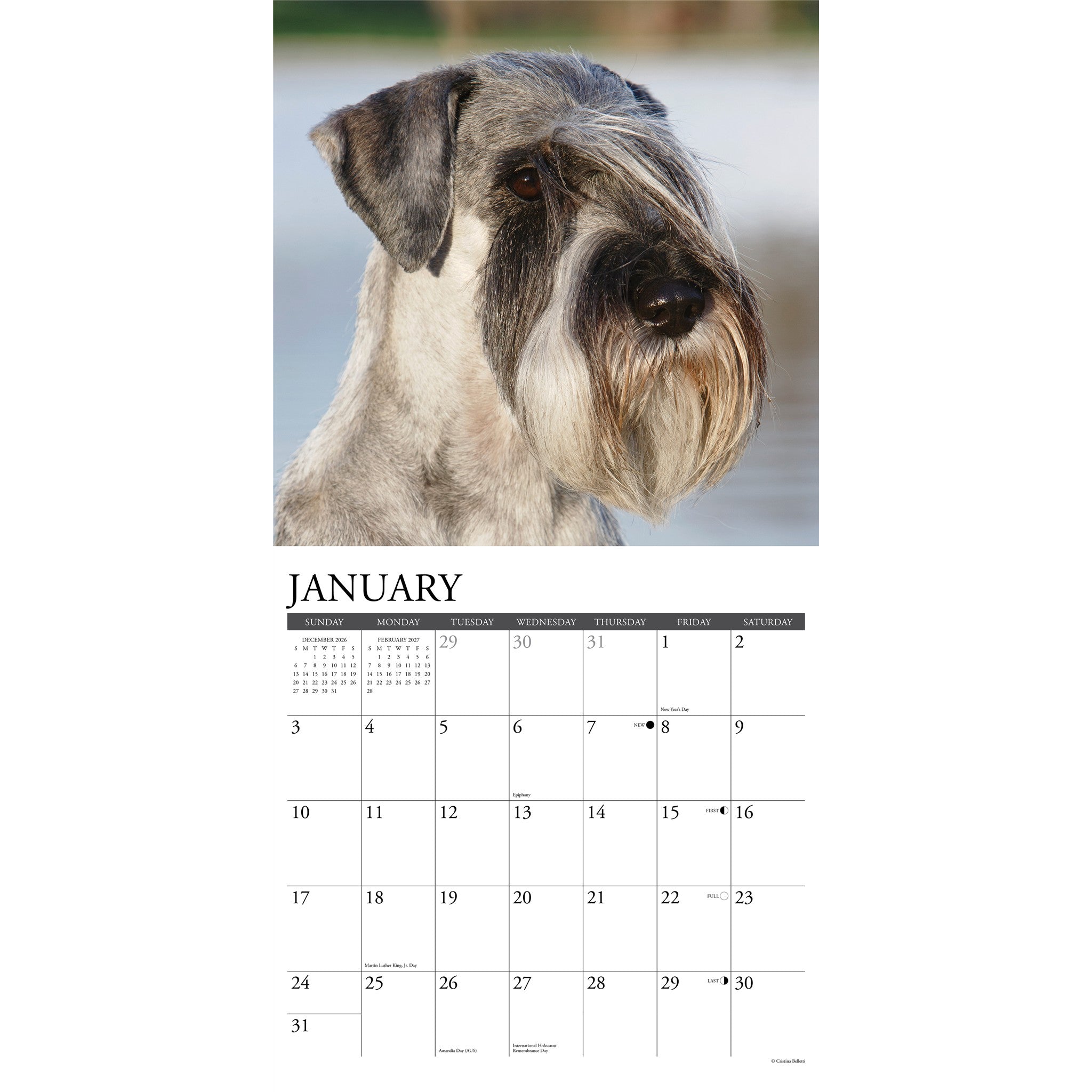 Schnauzers 2027 Wall Calendar - Online Only
