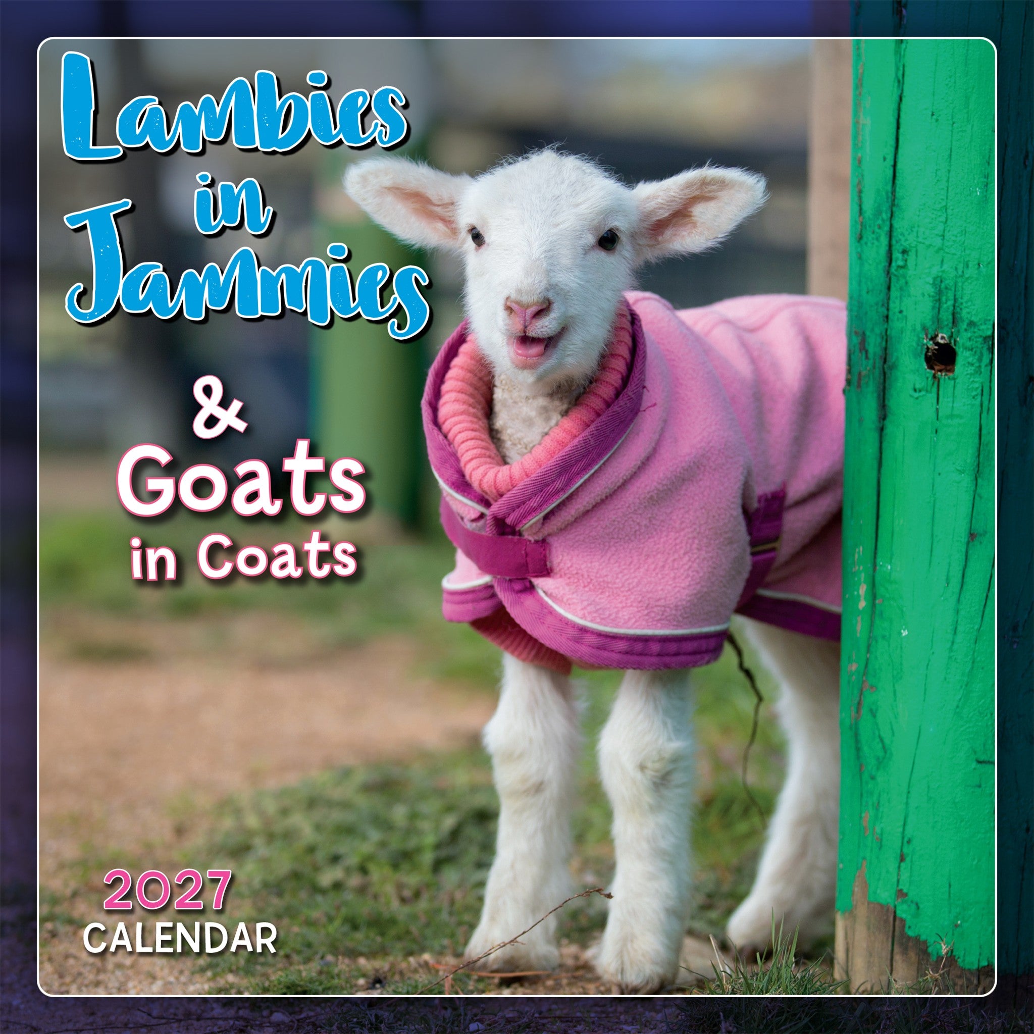 Lambies in Jammies & Goats in Coats 2027 Mini Calendar