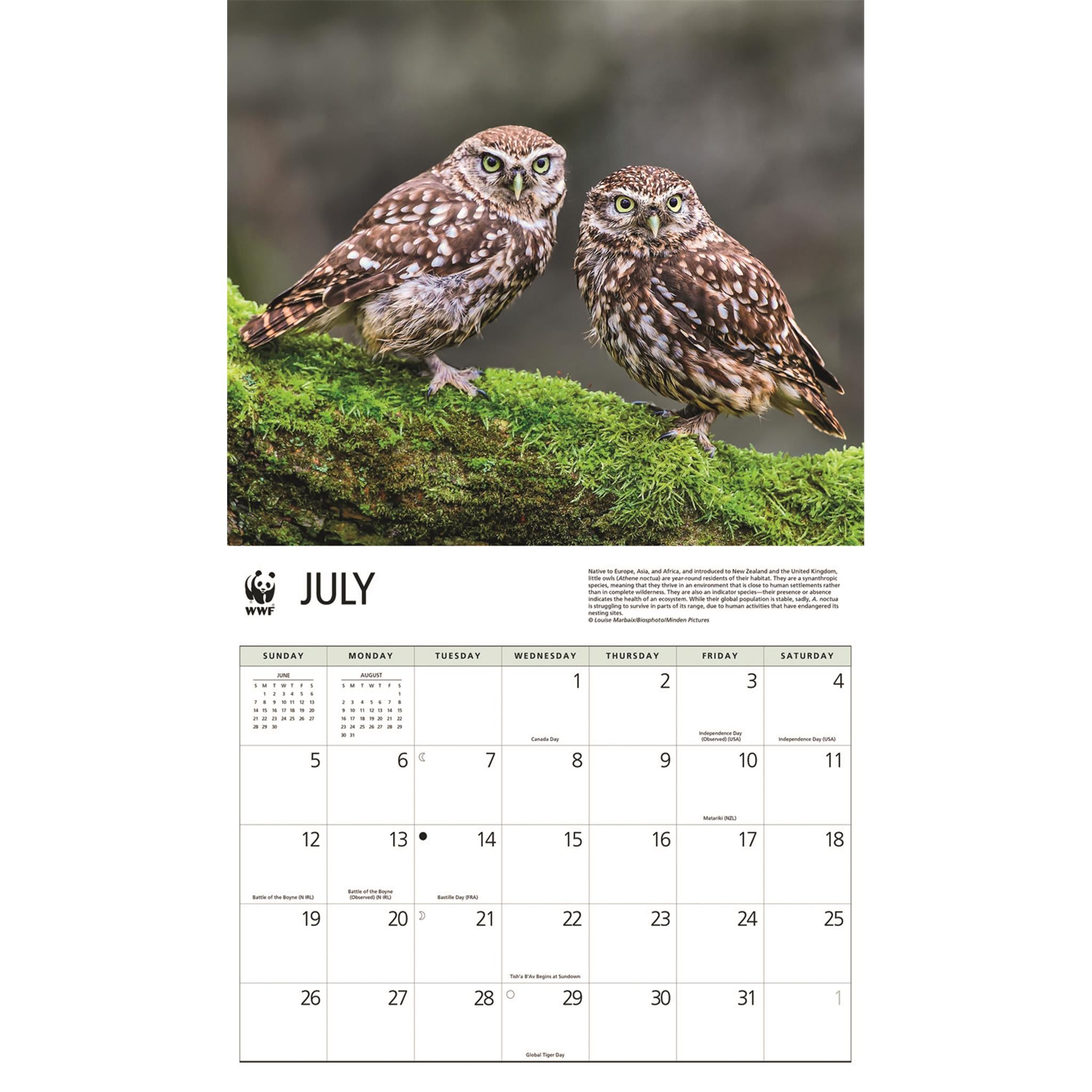 World Wildlife Fund Owls 2026 Wall Calendar