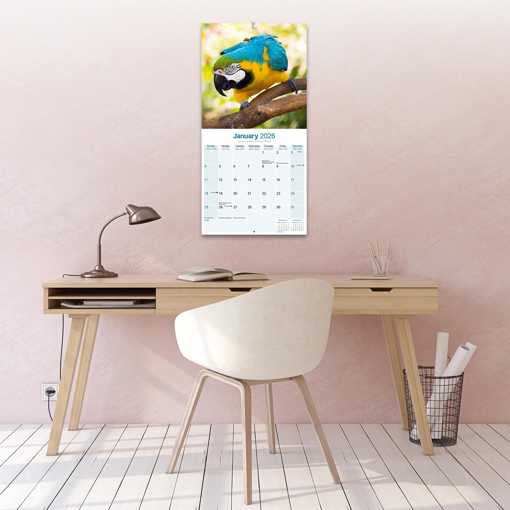 Calendrier mural Macaws 2026