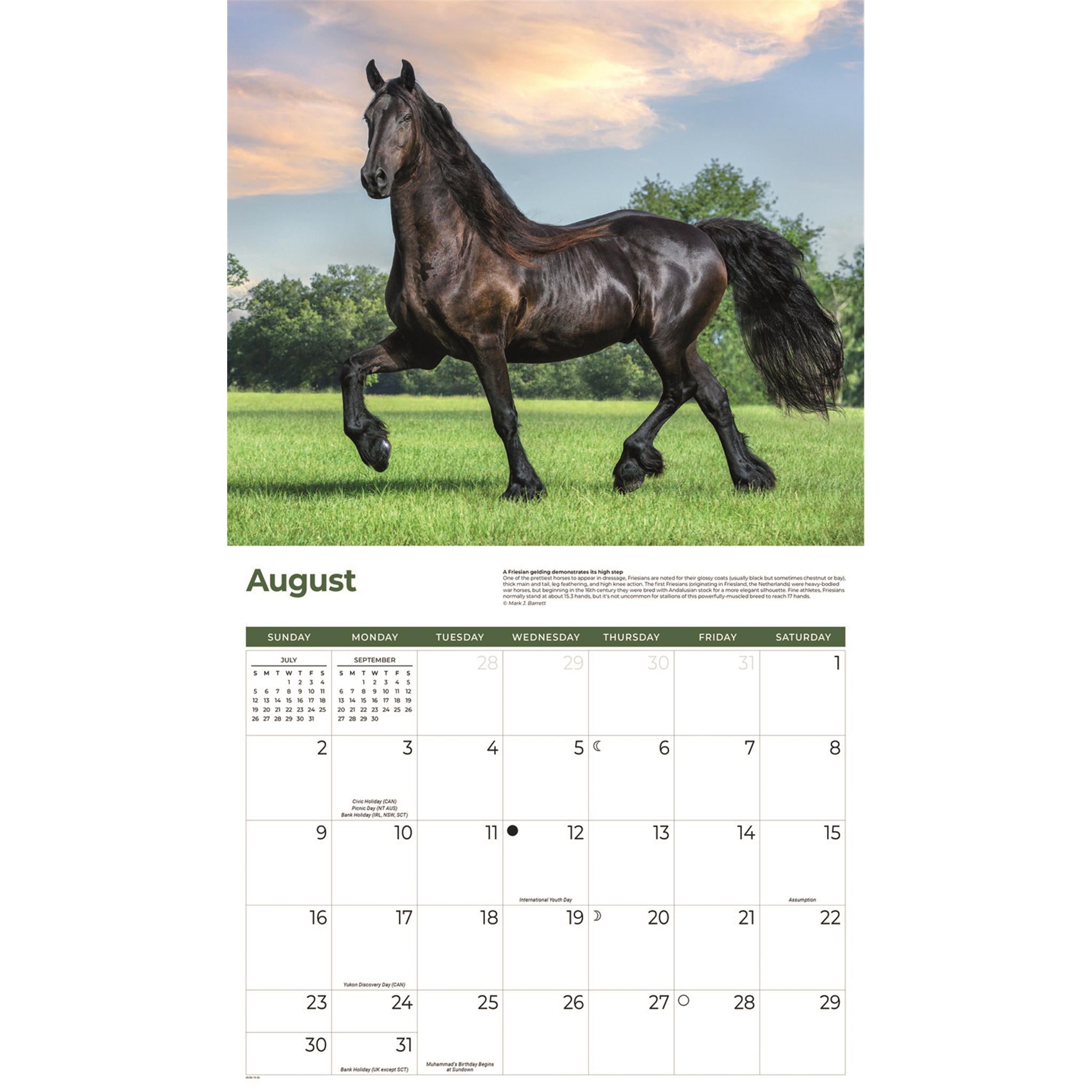 Calendrier mural Chevaux 2026