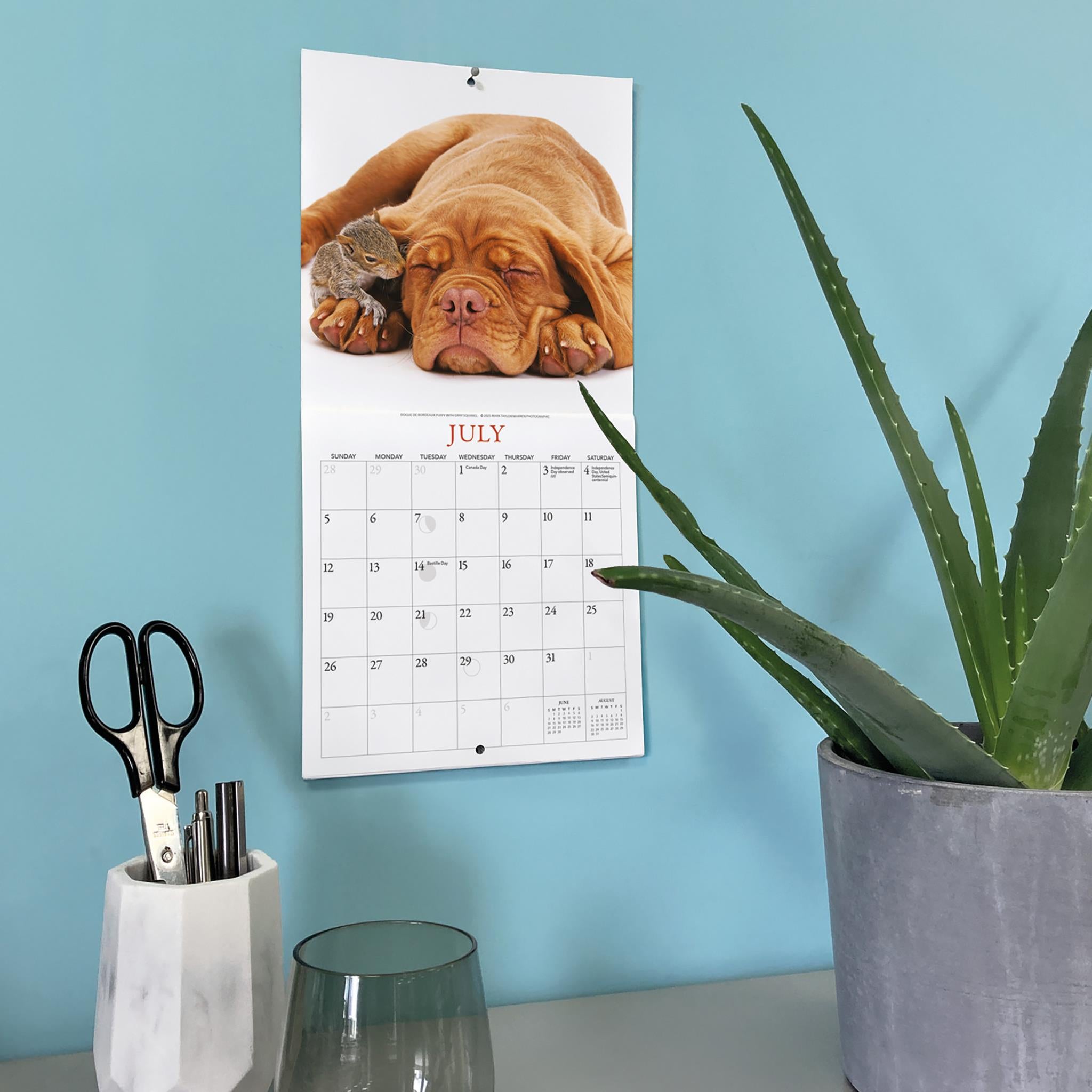Calendrier miniature Chiots et Amis 2026