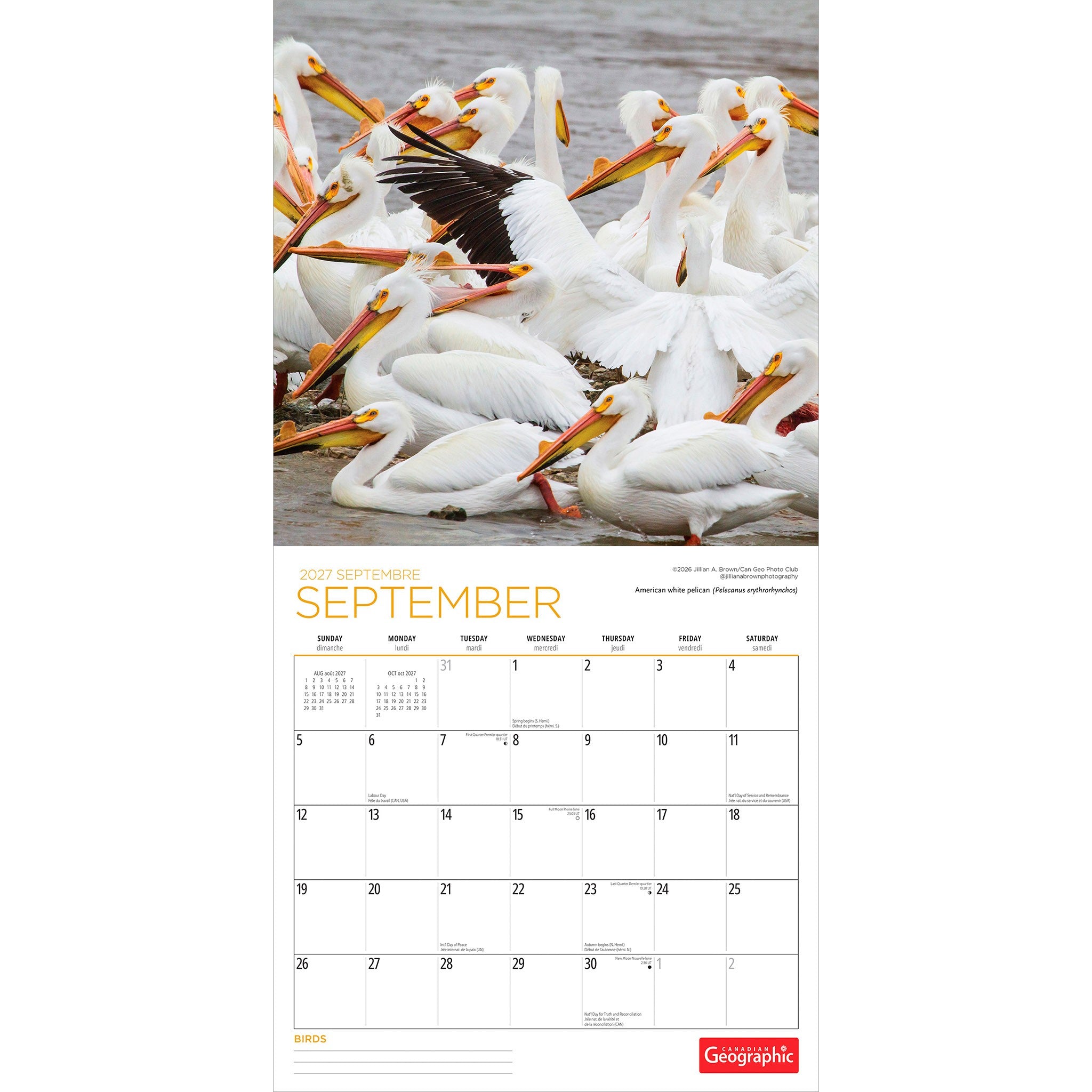 Canadian Geographic Birds 2027 Wall Calendar