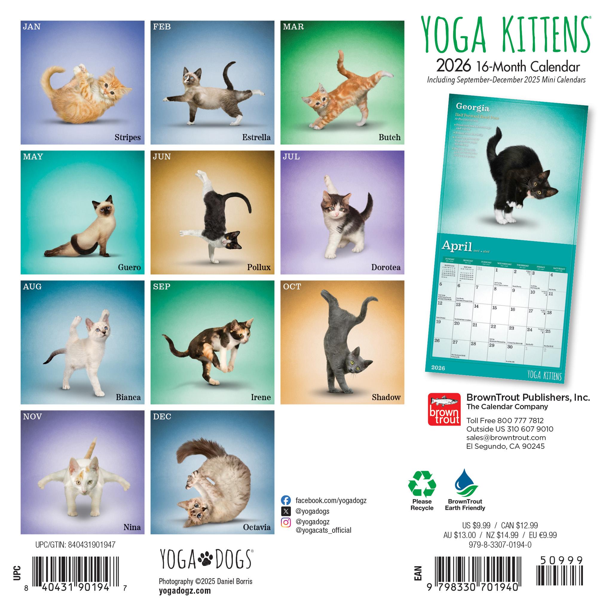 Mini calendrier Yoga Kittens 2026