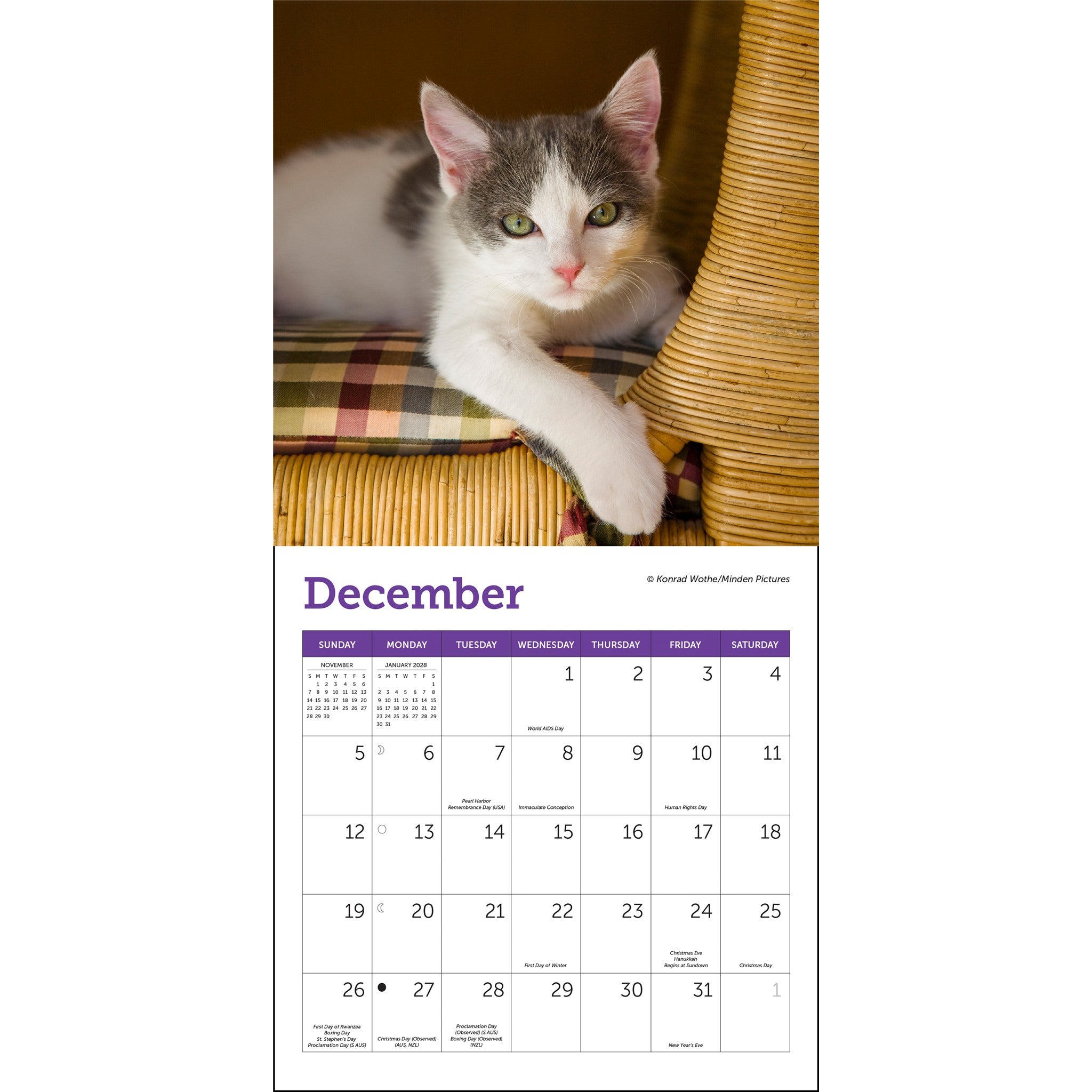 Mini calendrier Chats 2027