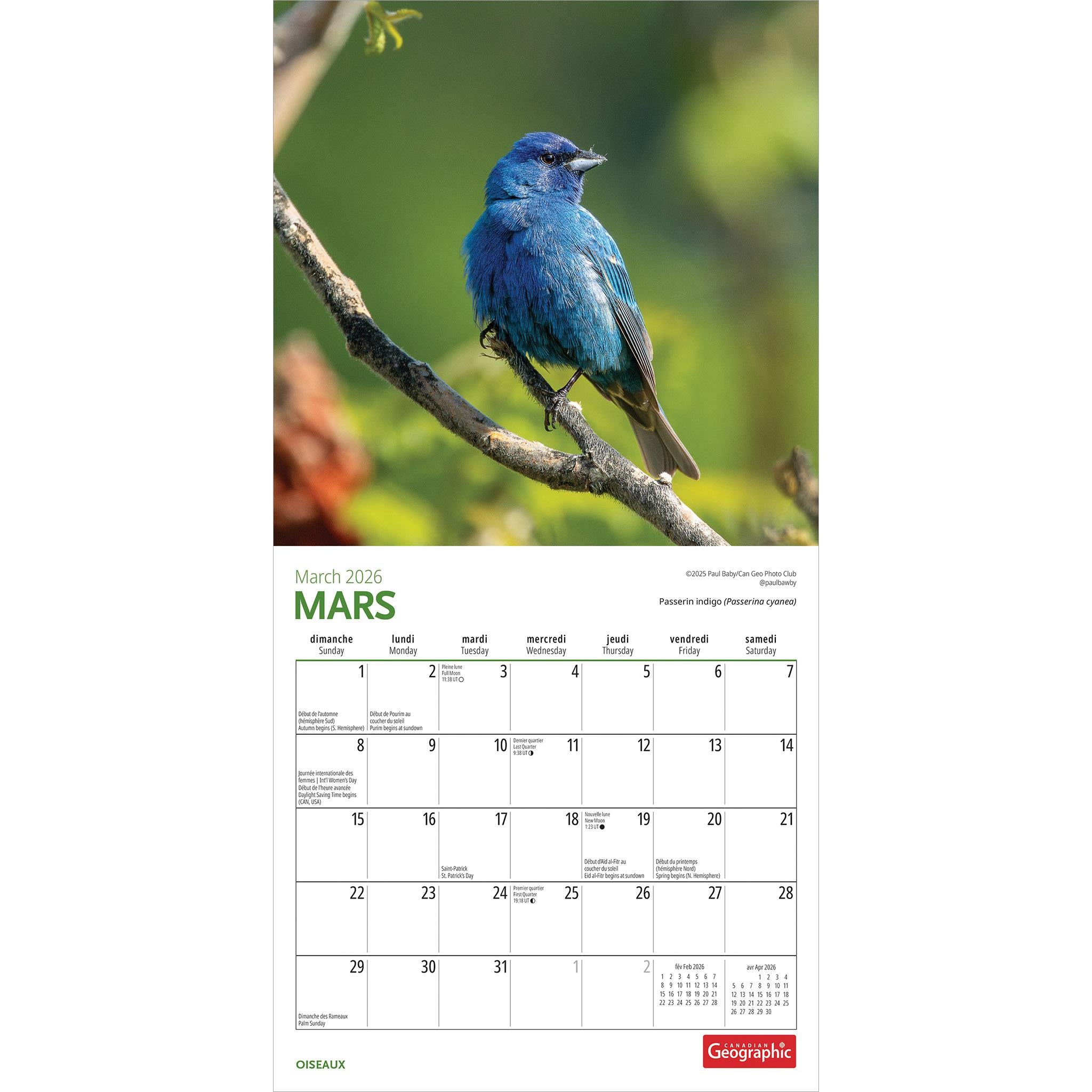 Canadian Geographic Oiseaux 2026 Mini Calendar (French)