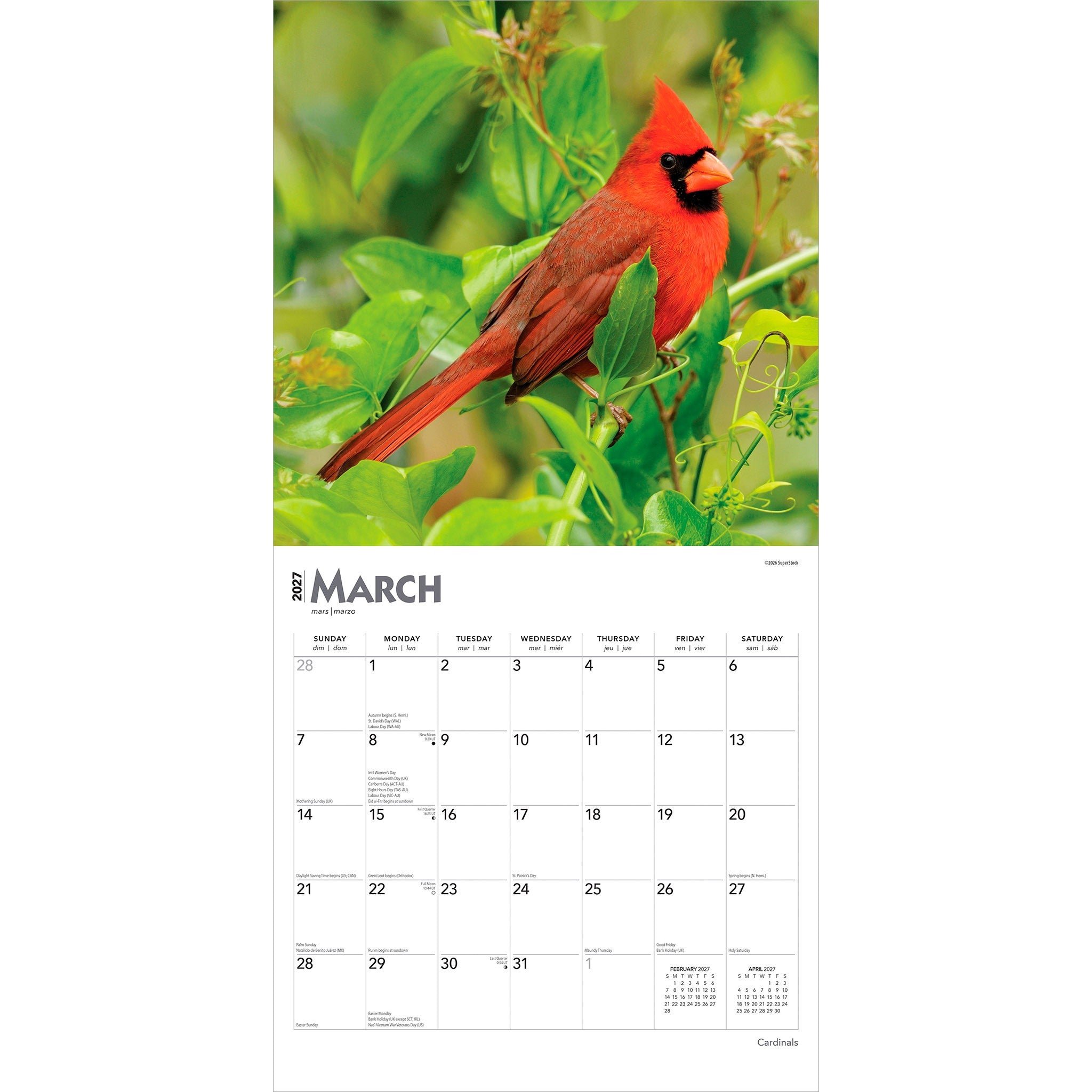 Cardinals 2027 Wall Calendar