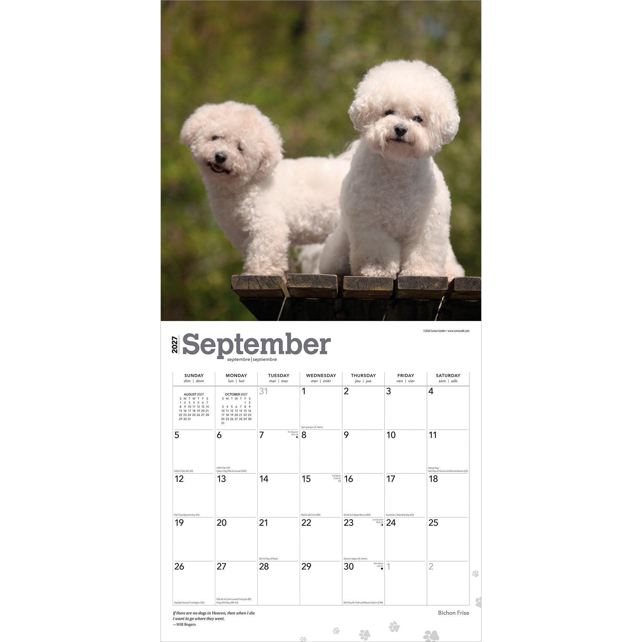 Bichon Frise 2027 Wall Calendar - Online Only