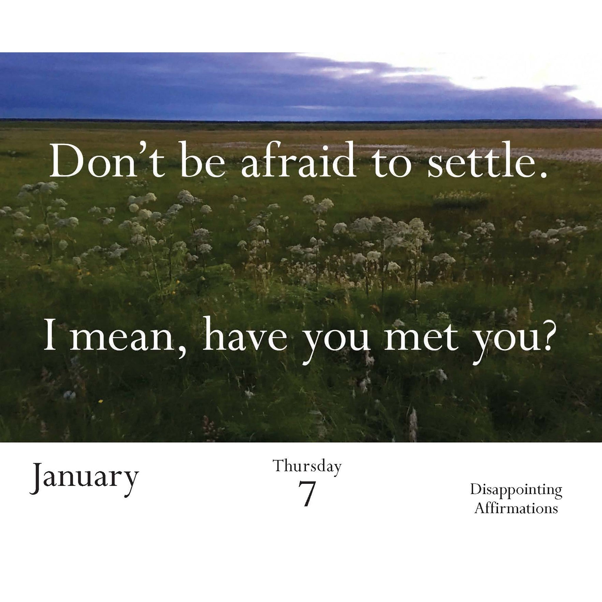 Disappointing Affirmations 2027 Box Calendar
