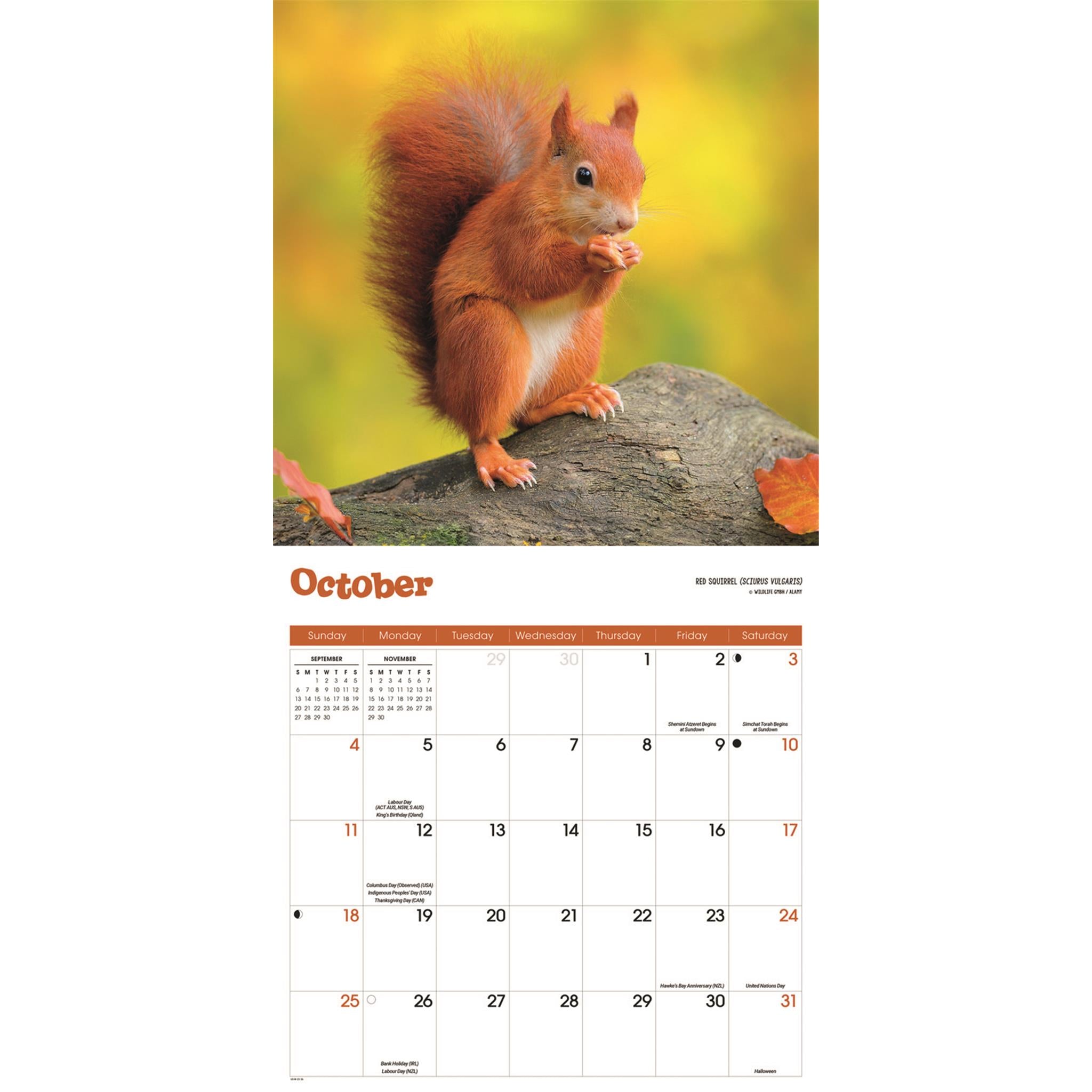 Calendrier mural des écureuils 2026