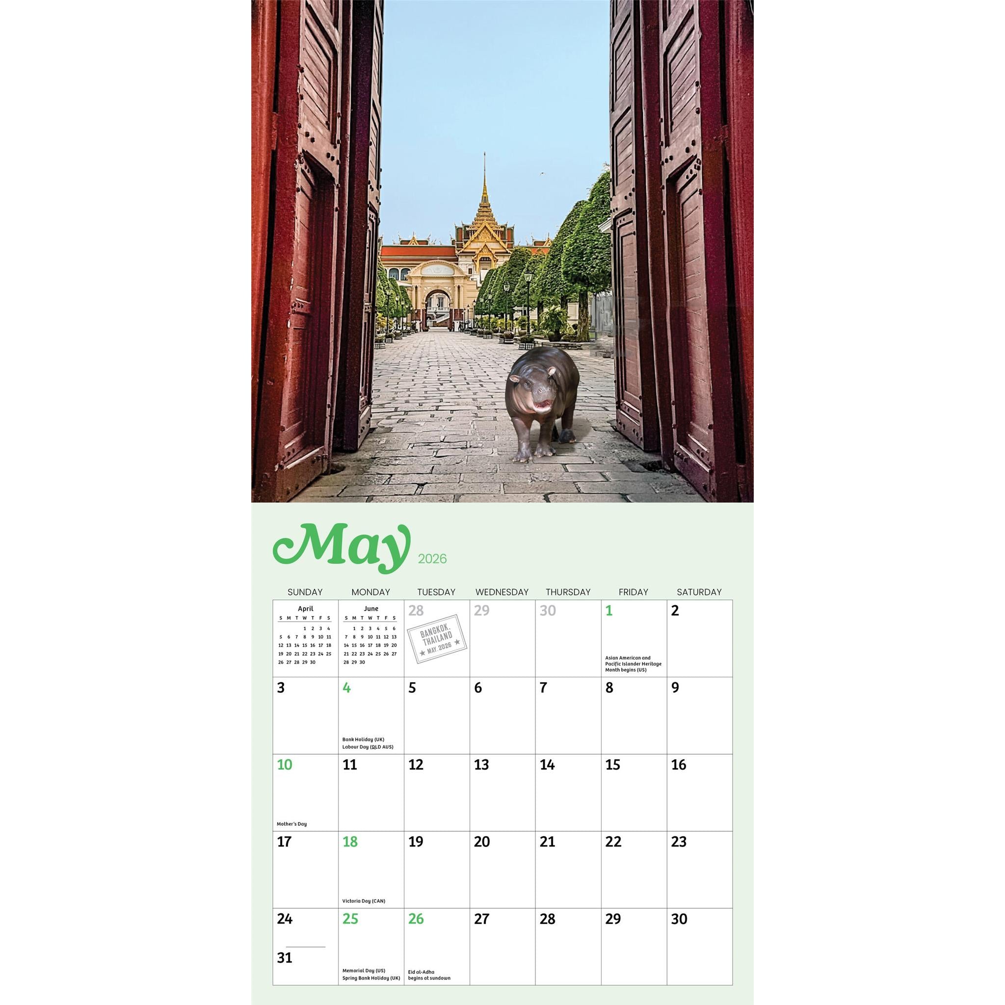 Mini calendrier Tiny Hippo Big World 2026