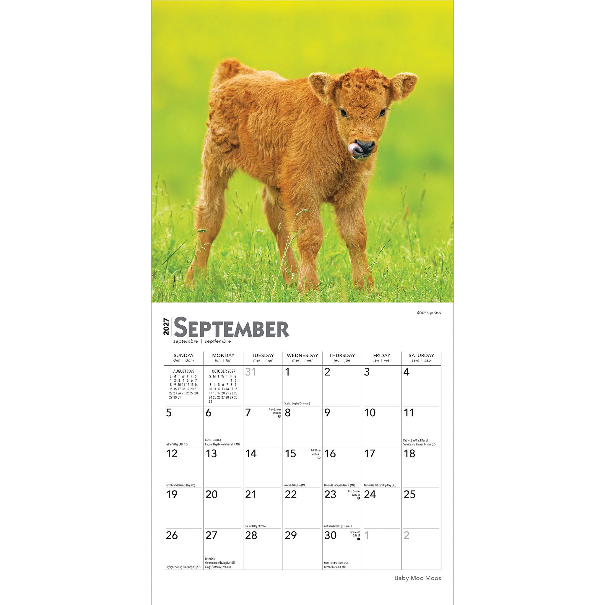 Baby Moo Moos 2027 Mini Calendar - Online Only