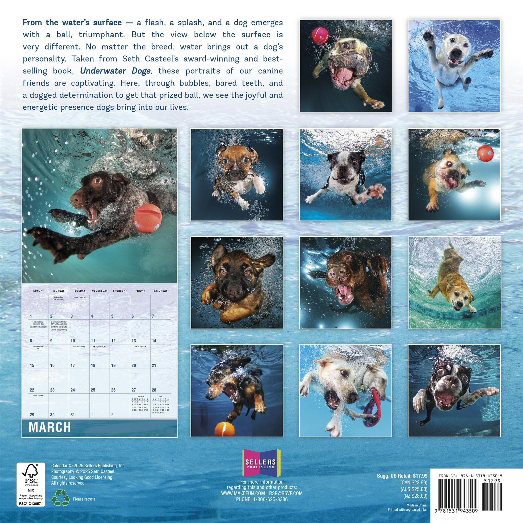 Calendrier mural Chiens sous-marins 2026
