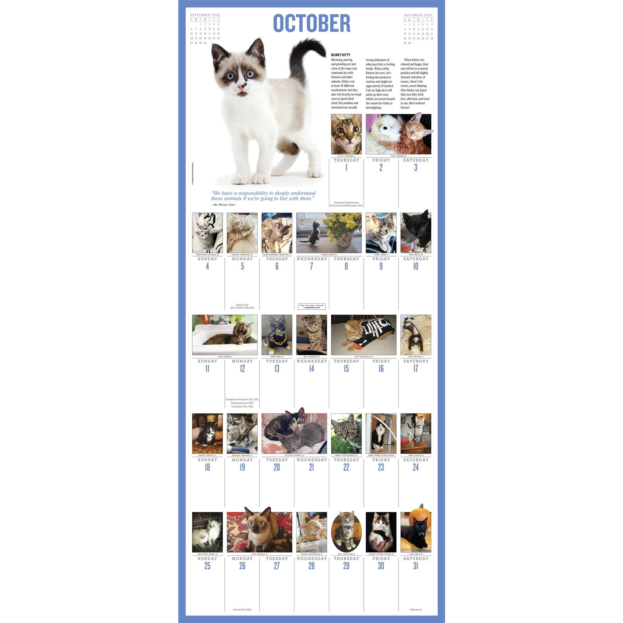 Calendrier mural Chatons 365 2026