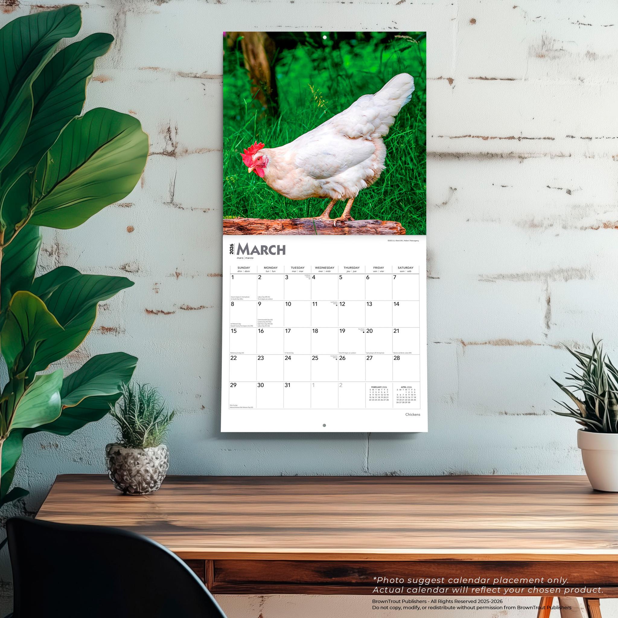 Calendrier mural Poules 2026 - Disponible uniquement en ligne