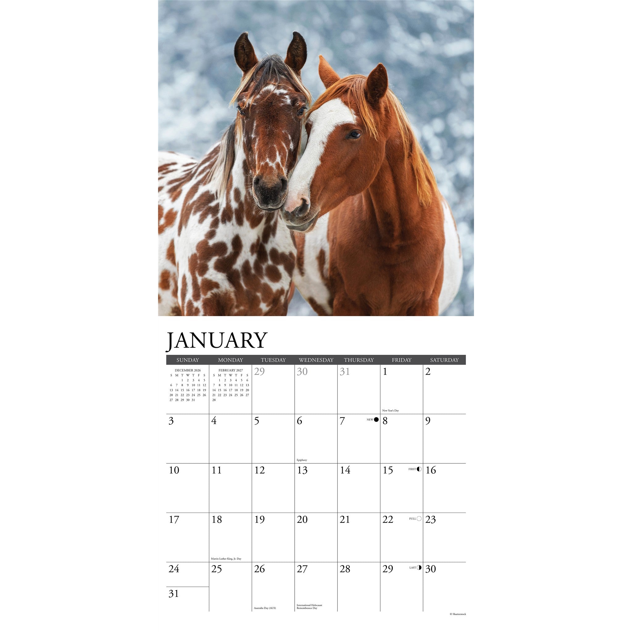 Paint Horses 2027 Wall Calendar