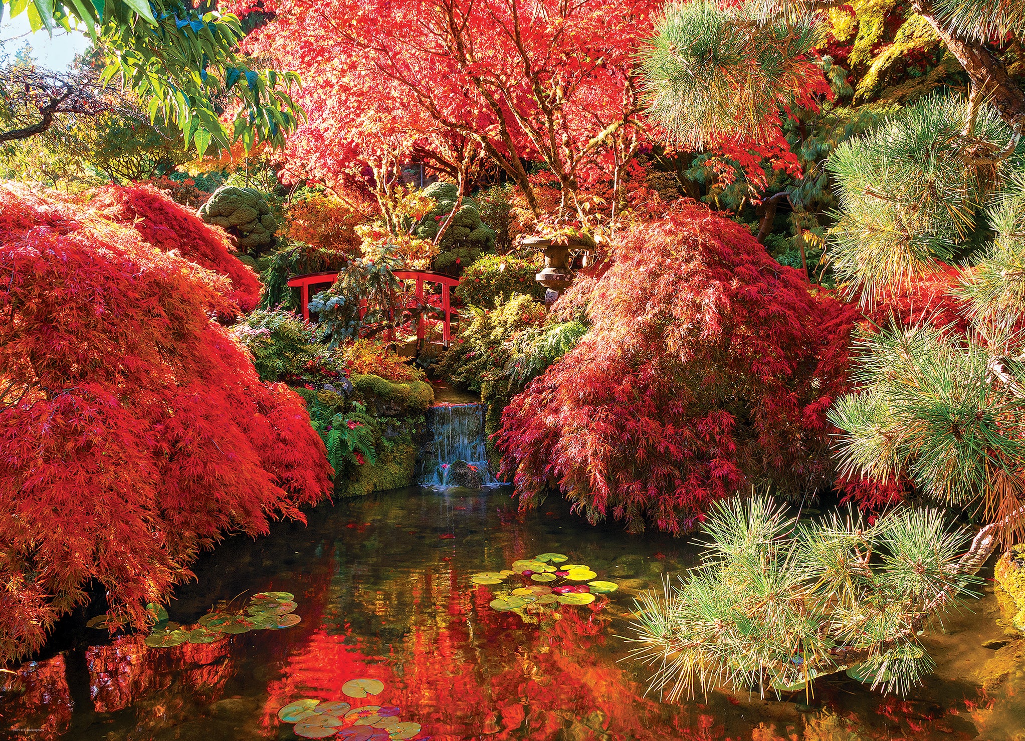 Buchart Gardens Japanese Garden 1000 Piece Puzzle - Online Only