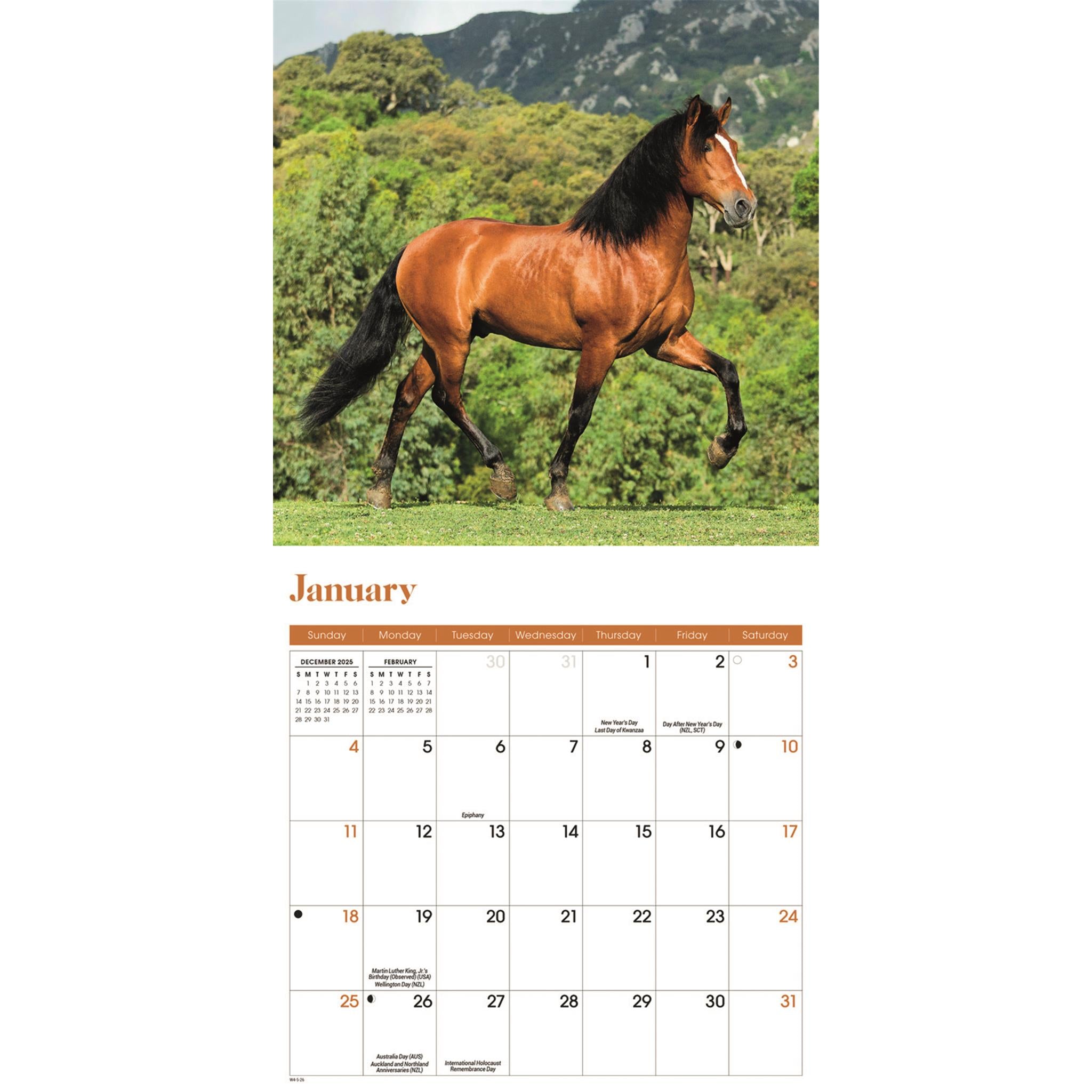 Mini-calendrier des chevaux 2026