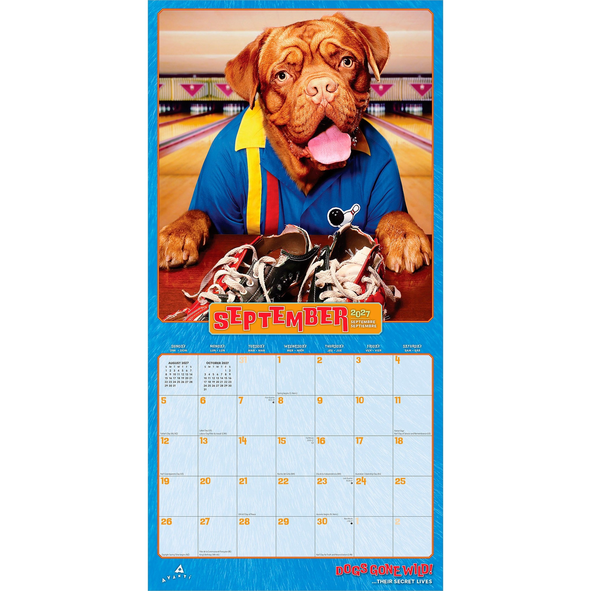 Dogs Gone Wild Avanti 2027 Wall Calendar