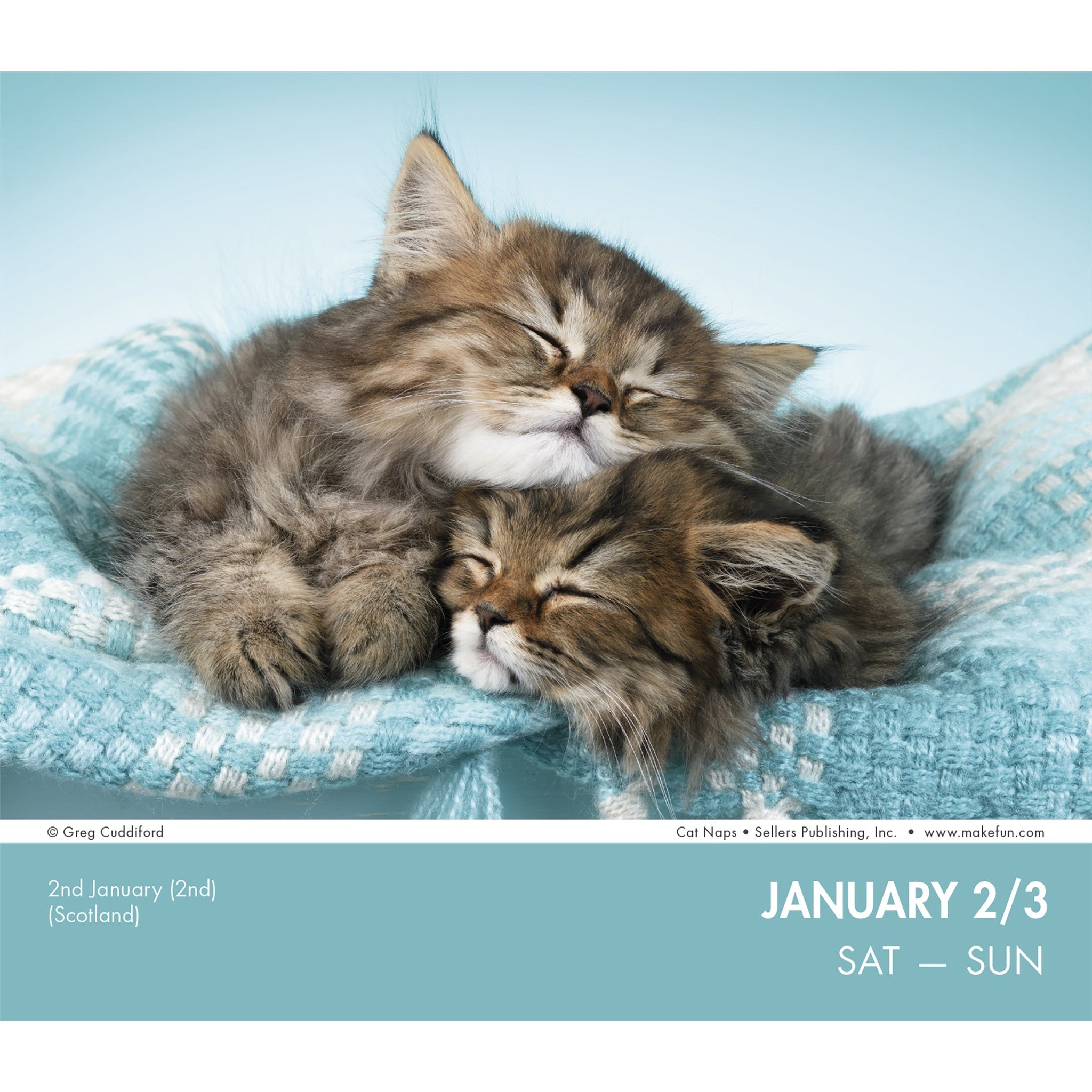 Cat Naps 2027 Box Calendar
