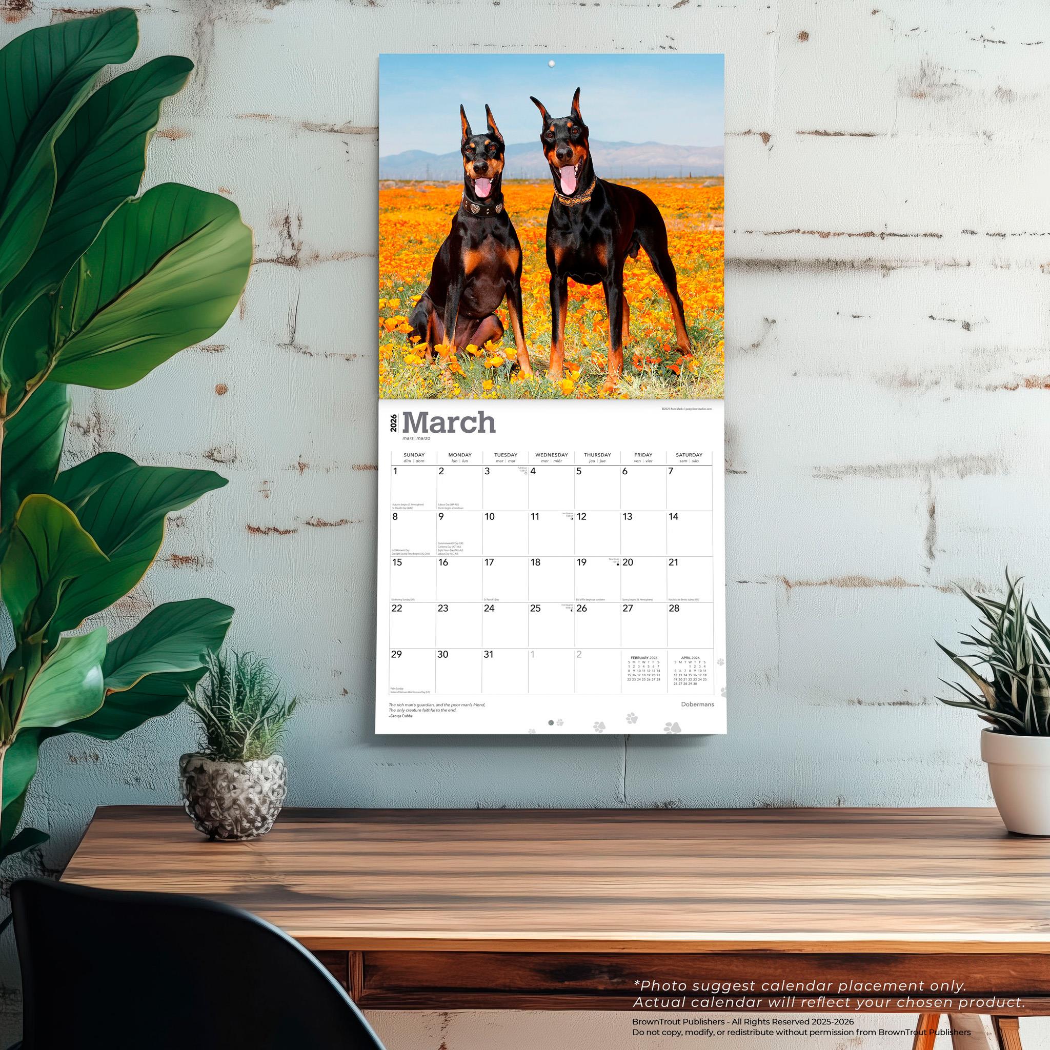 Dobermans 2026 Wall Calendar