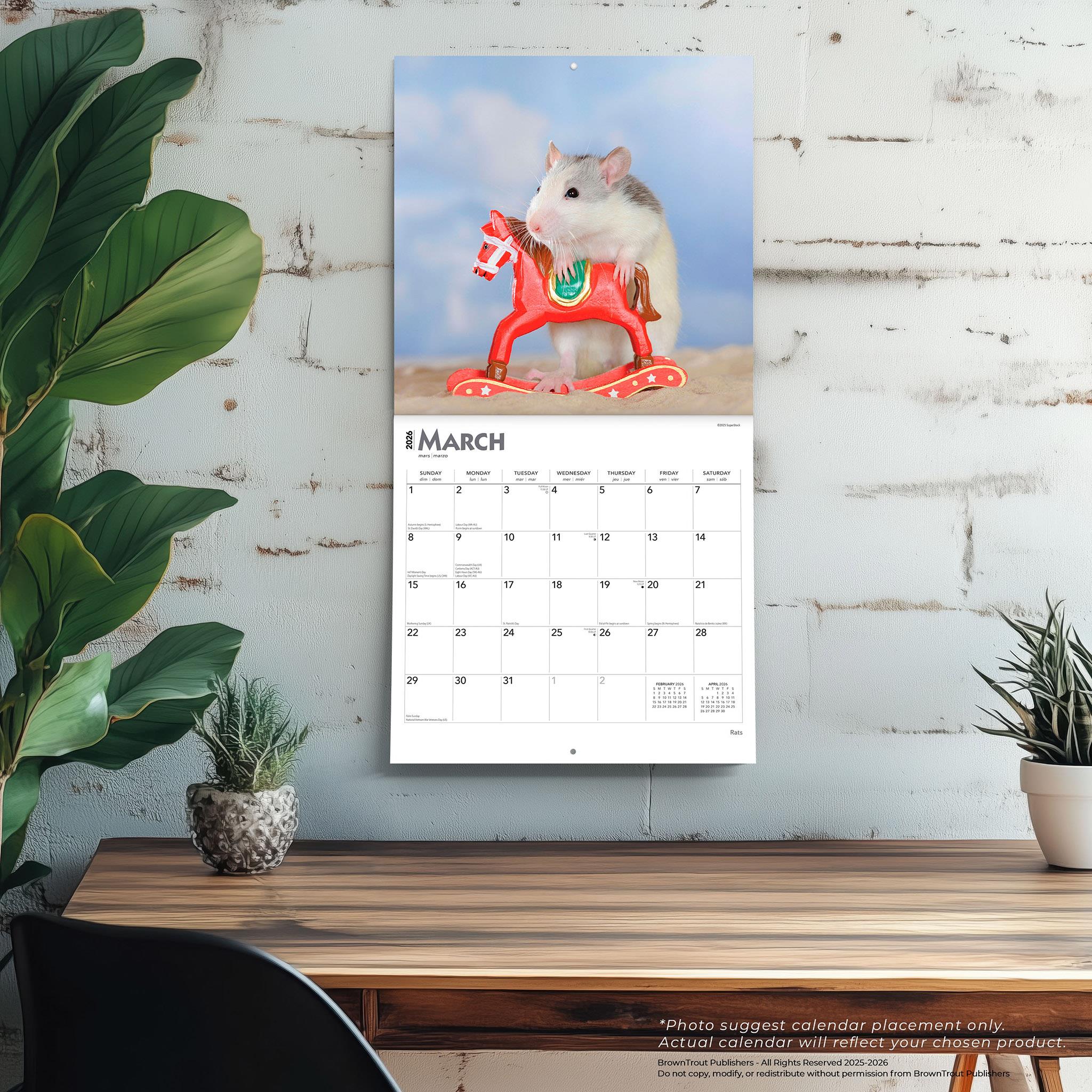 Rats 2026 Wall Calendar