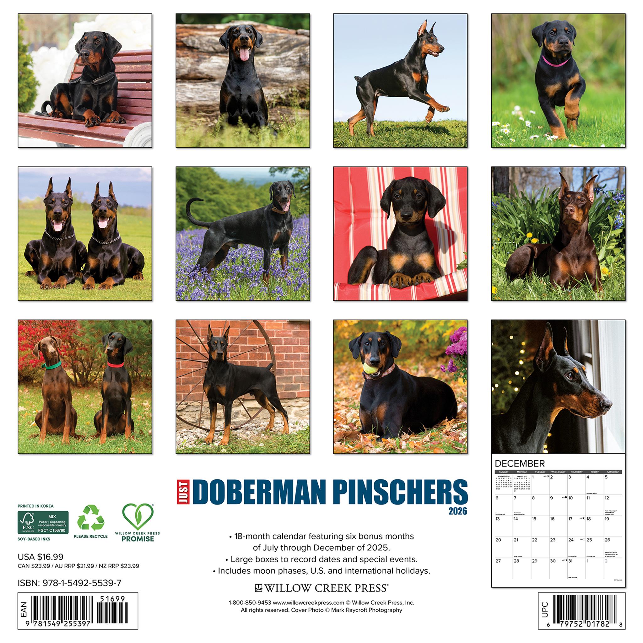 Calendrier mural 2026 « Just Doberman Pinschers » - Disponible uniquement en ligne