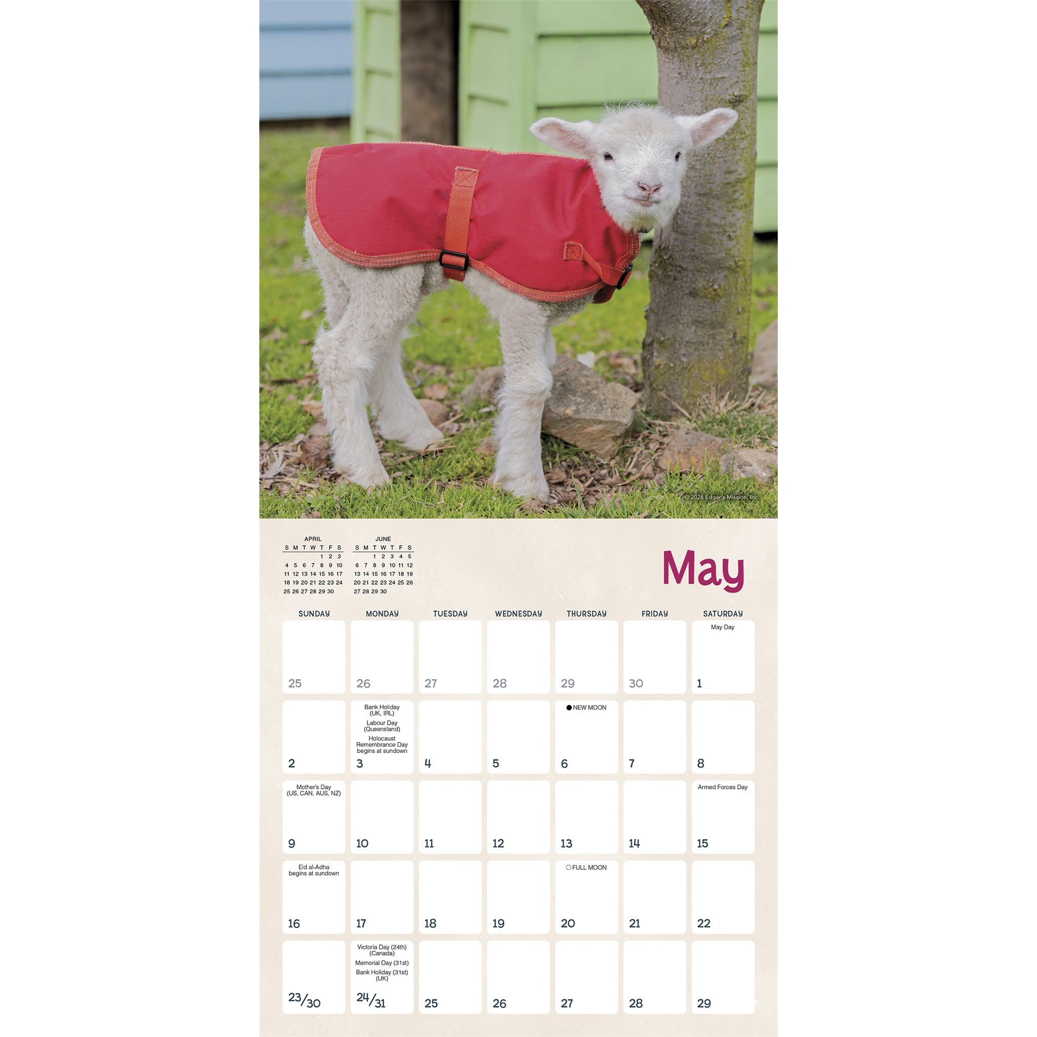 Lambies in Jammies & Goats in Coats 2027 Mini Calendar