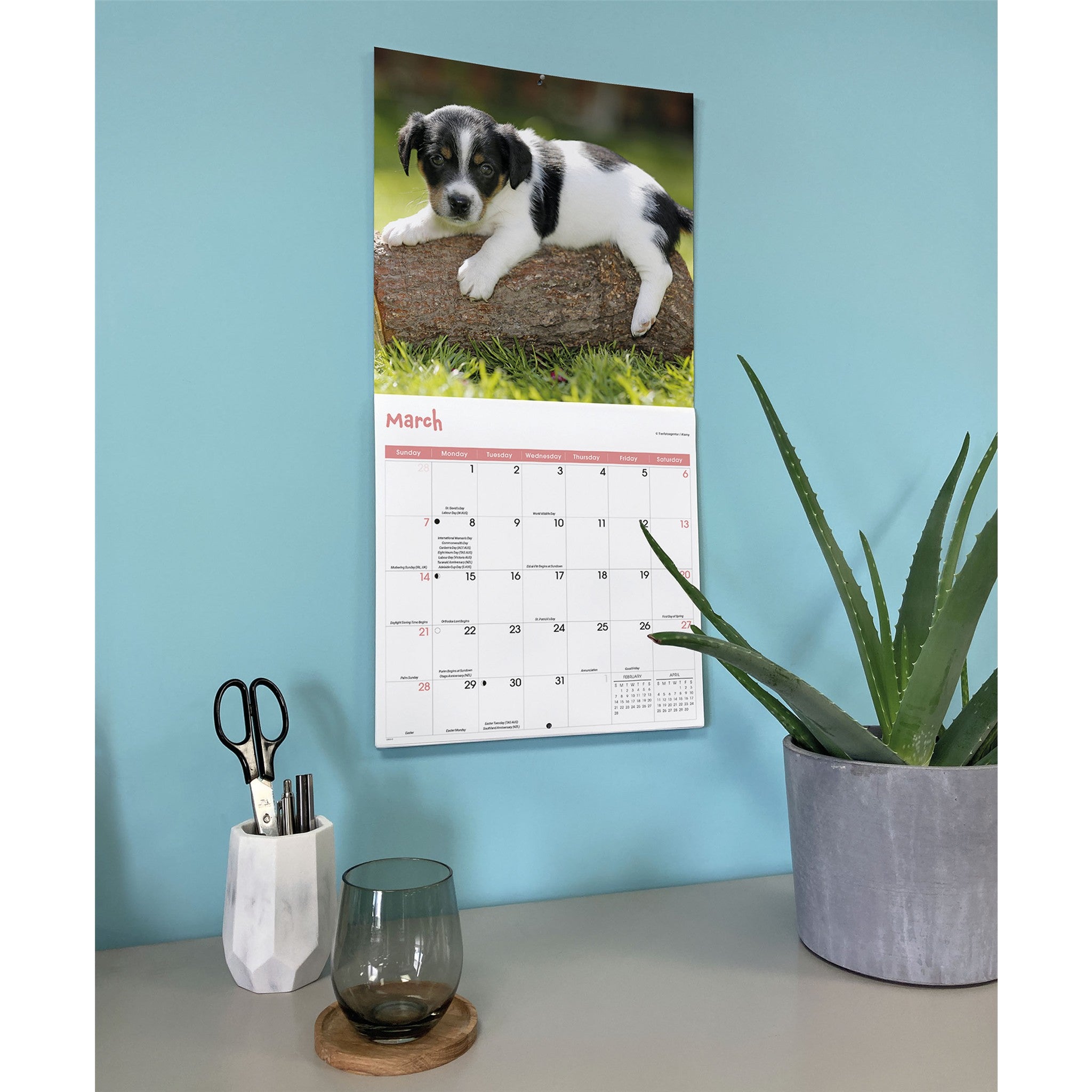 Calendrier mural 2027 Chiots joueurs