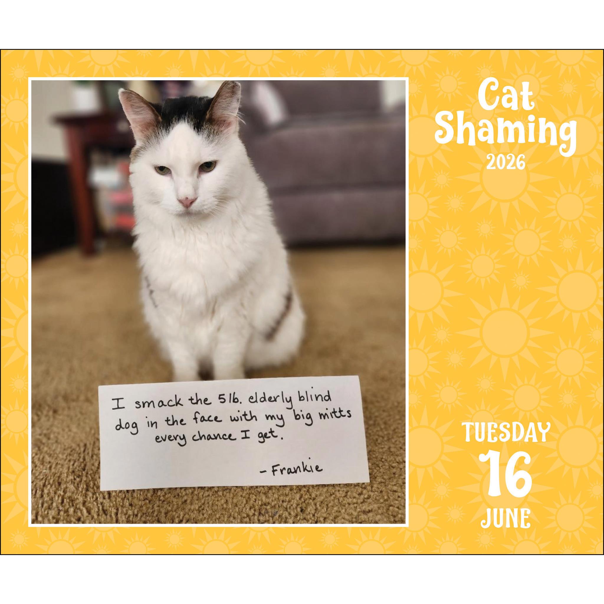 Calendrier de la boîte Cat Shaming 2026