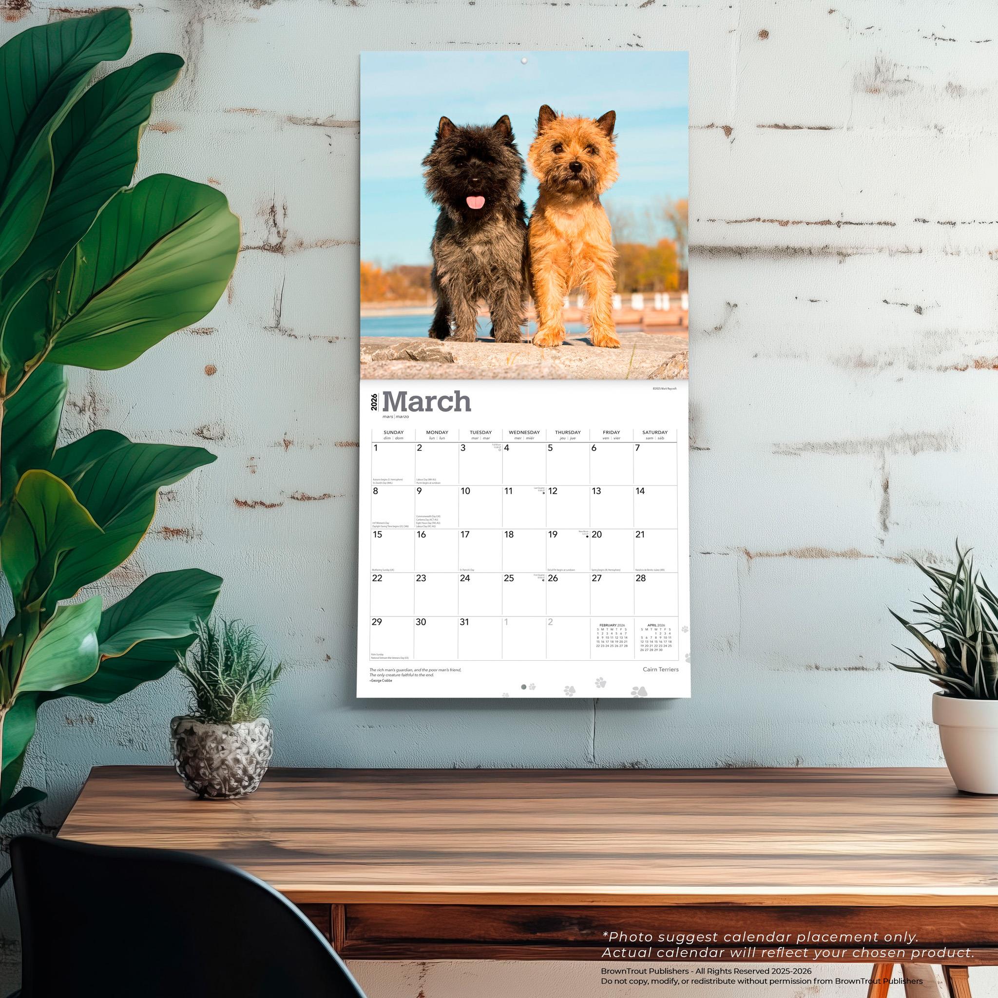 Calendrier mural Cairn Terriers 2026