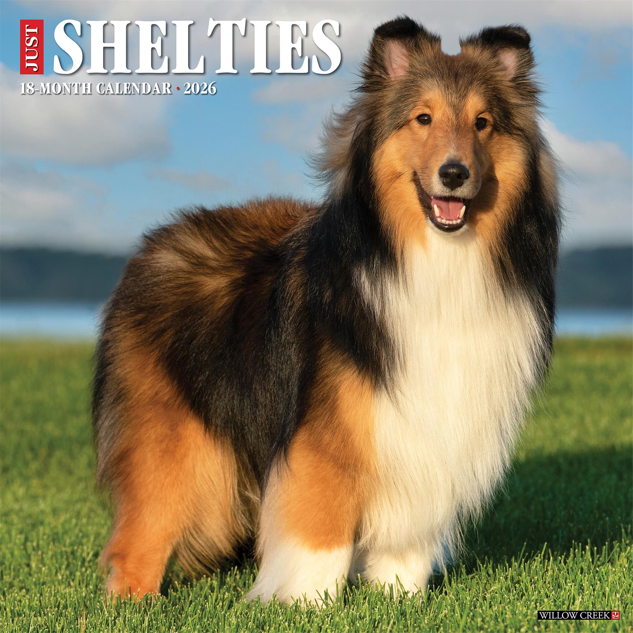 Calendrier mural Just Shelties 2026