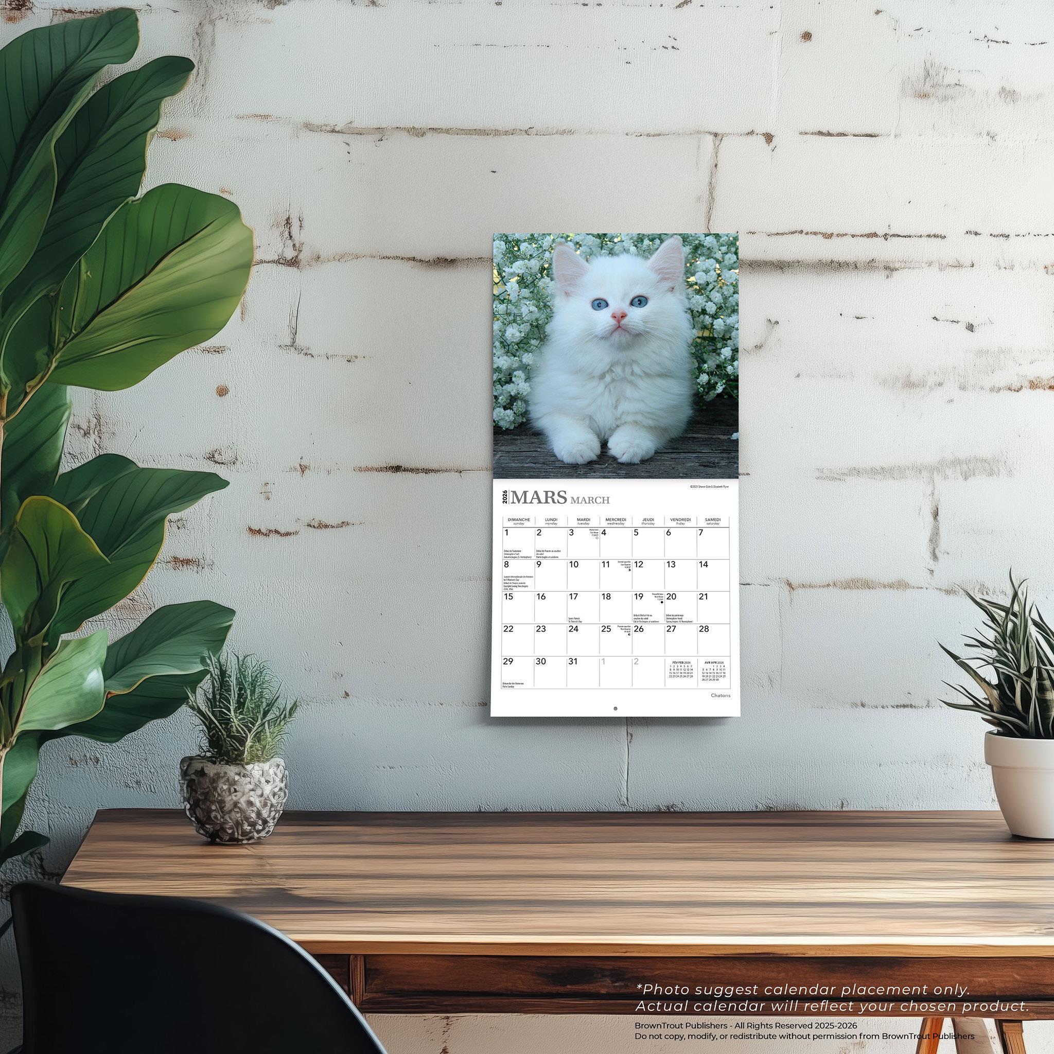 Chatons 2026 Mini Calendar (French)