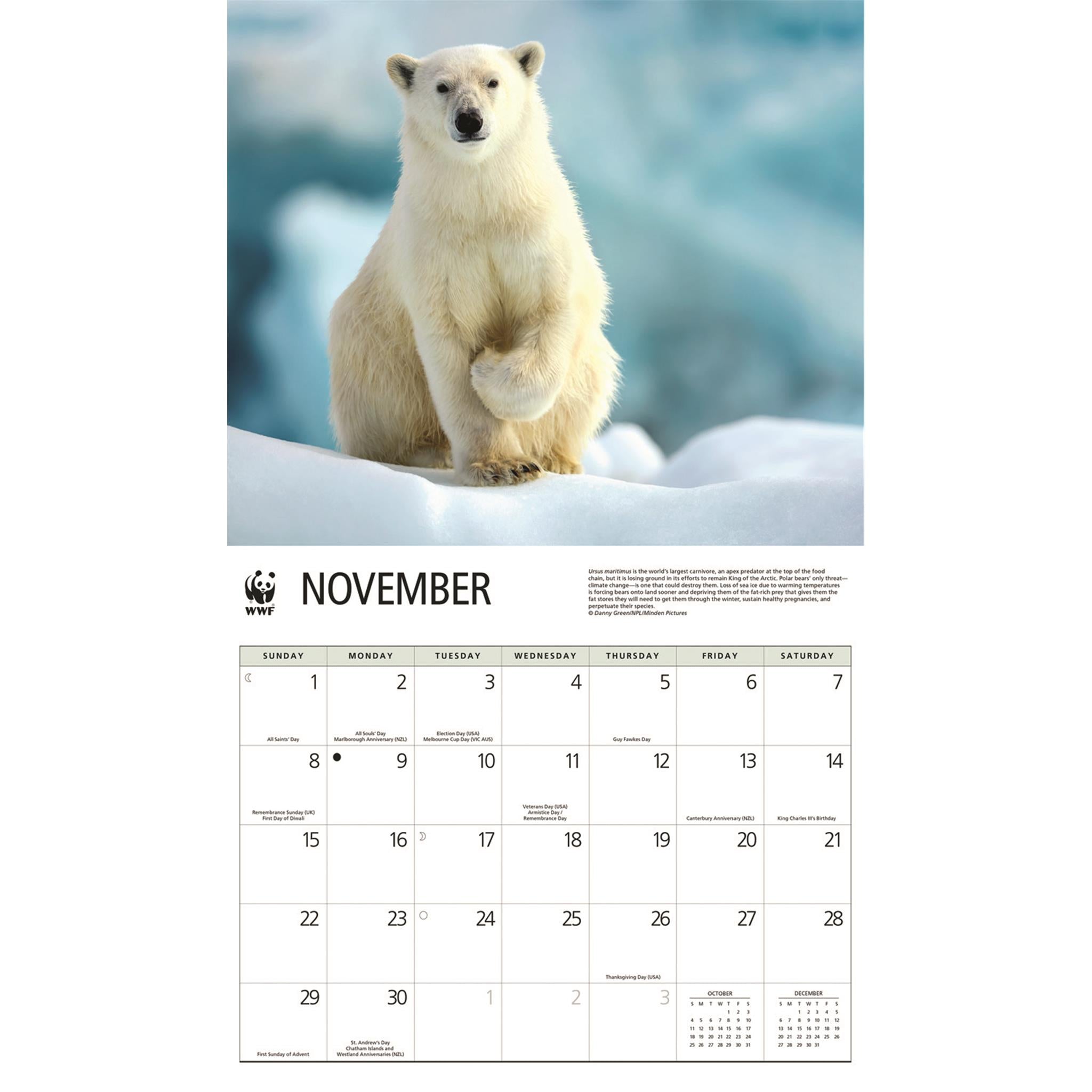 World Wildlife Fund Polar Bears 2026 Wall Calendar