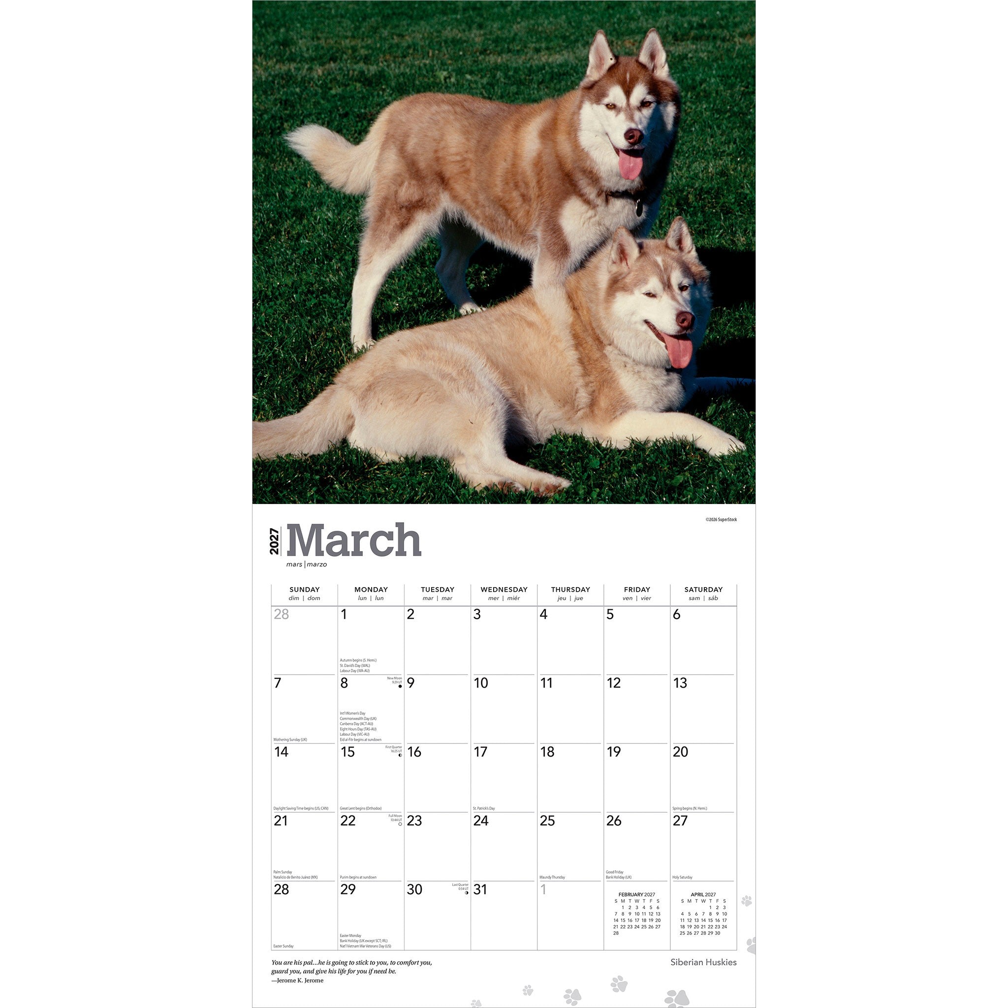 Siberian Huskies 2027 Wall Calendar