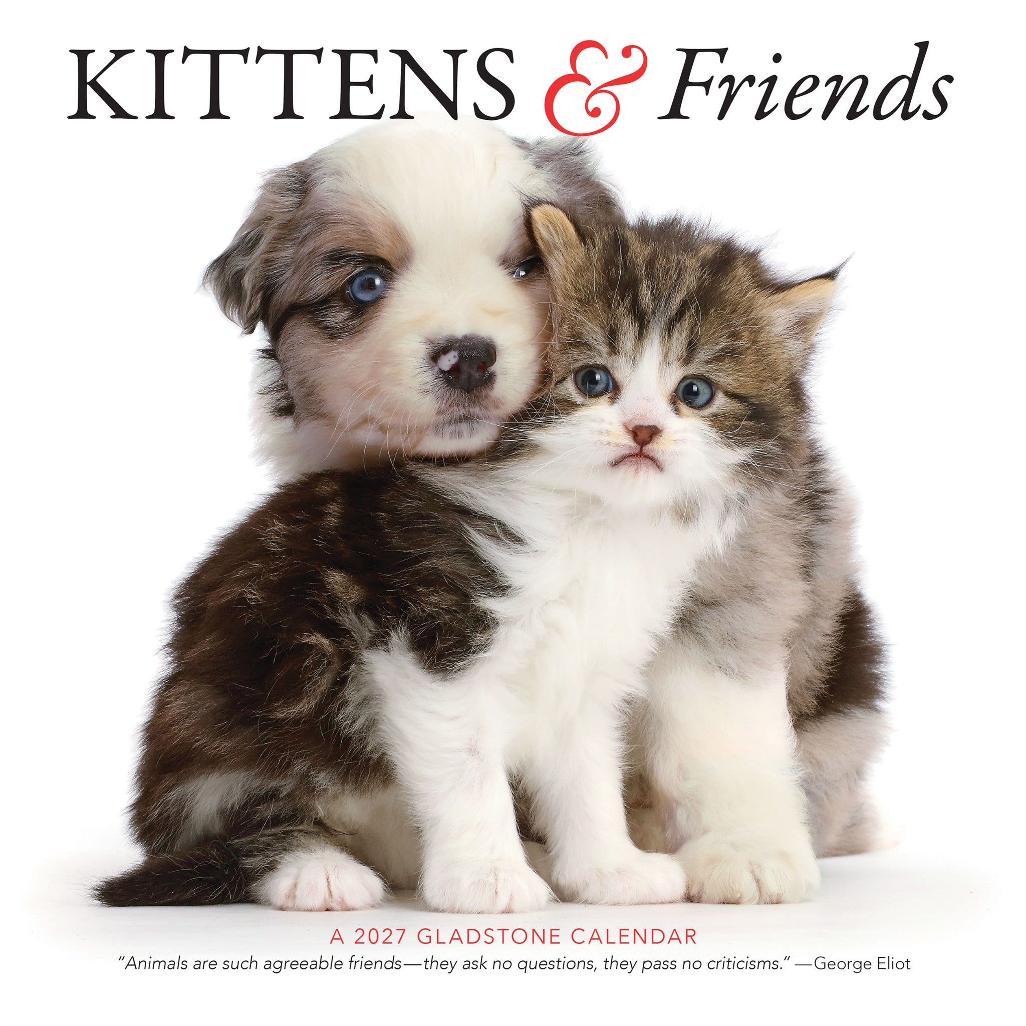 Calendrier mural Chatons et Amis 2027