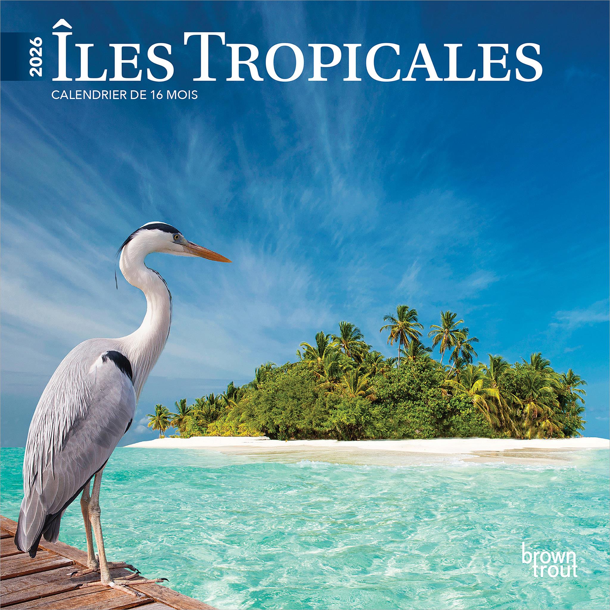 Mini Calendrier Iles Tropicales 2026 (Français)