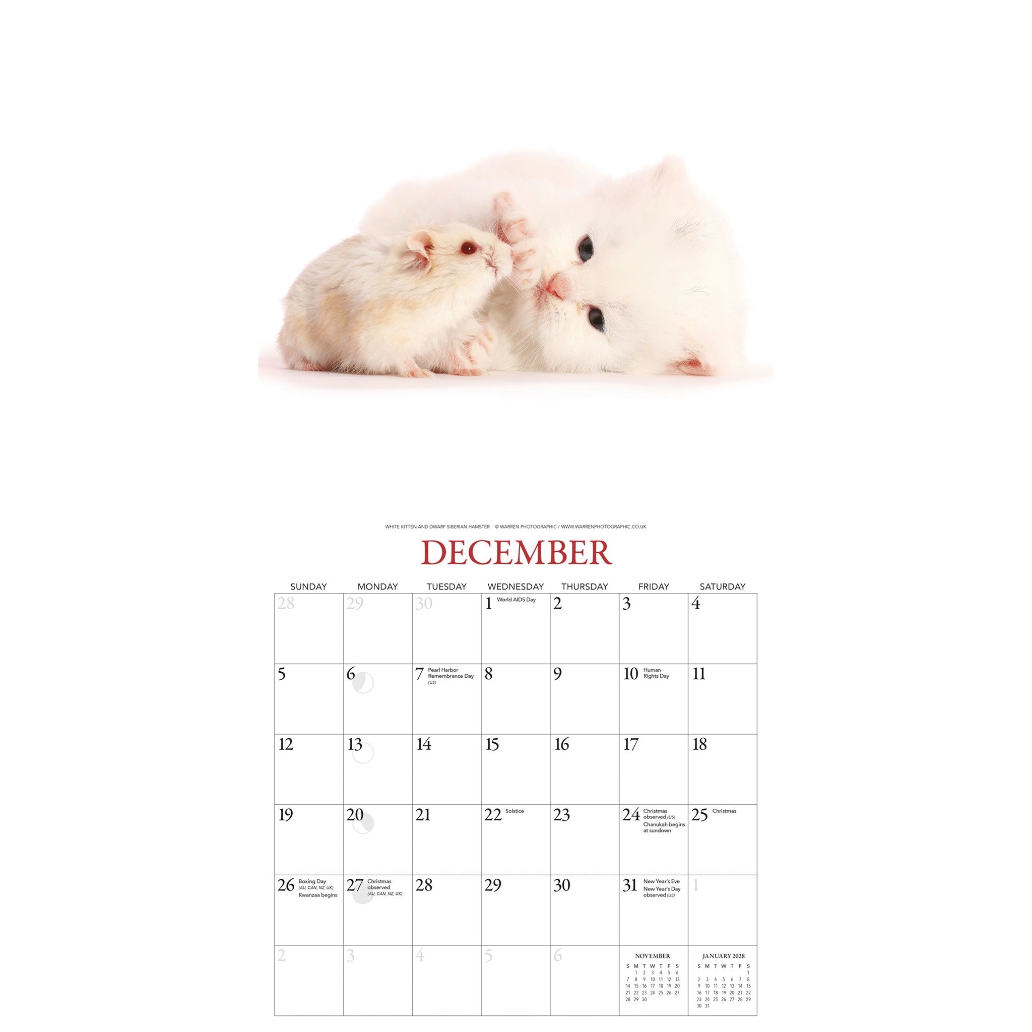 Calendrier mural Chatons et Amis 2027