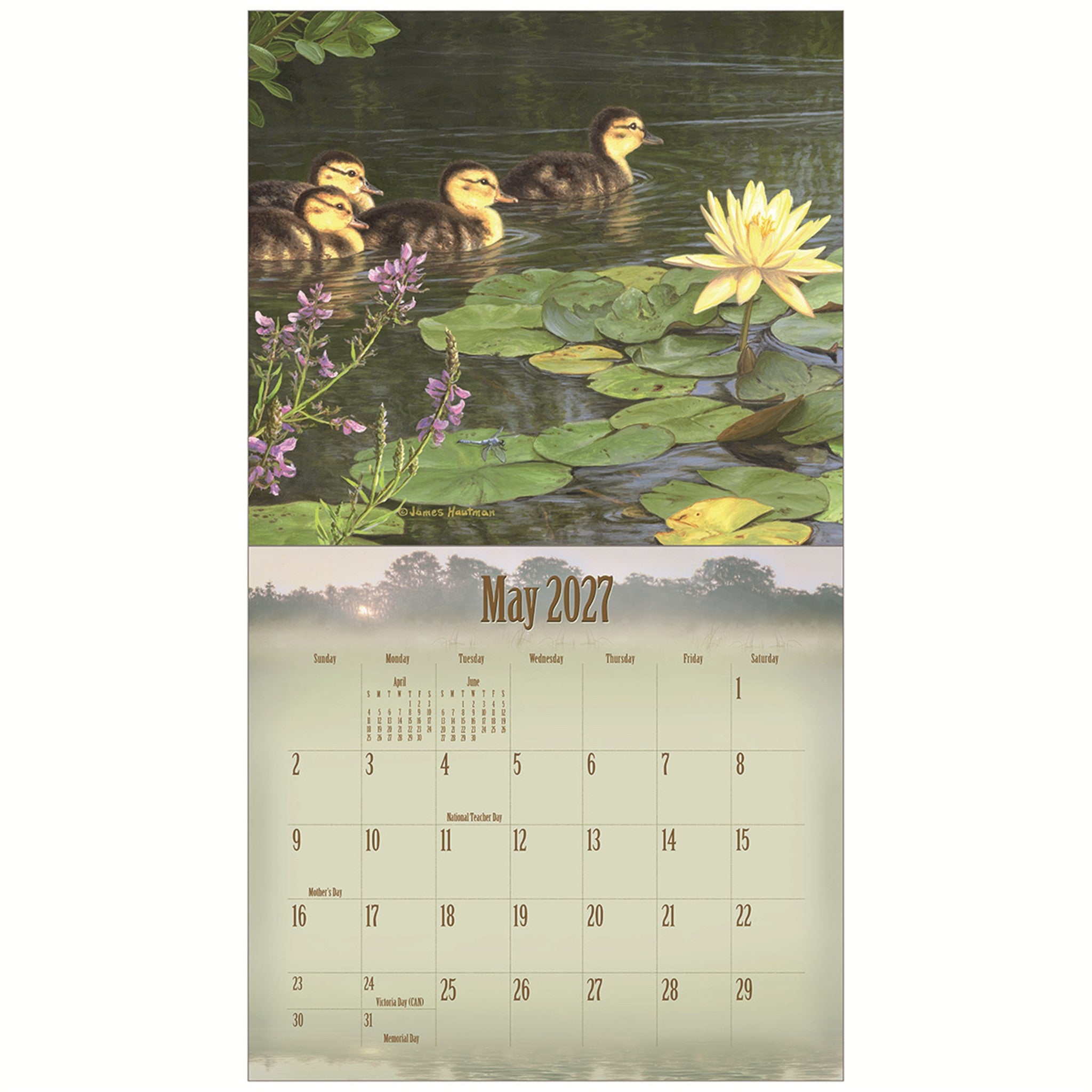 Wildlife Special Edition 2027 Wall Calendar