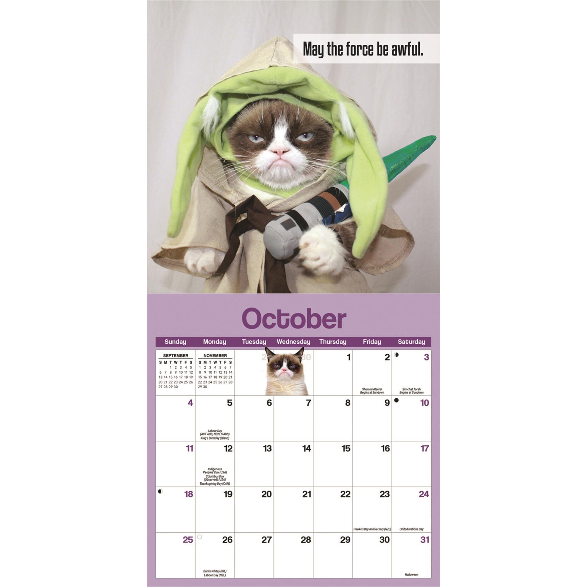 Mini calendrier Grumpy Cat 2026