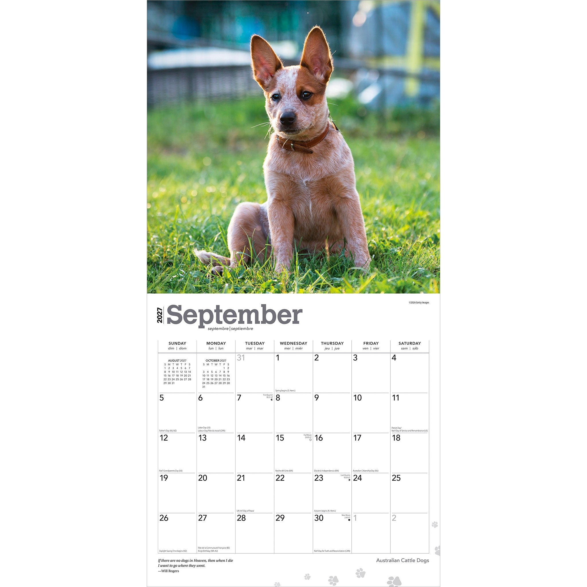 Australian Cattle Dogs 2027 Wall Calendar - Online Only
