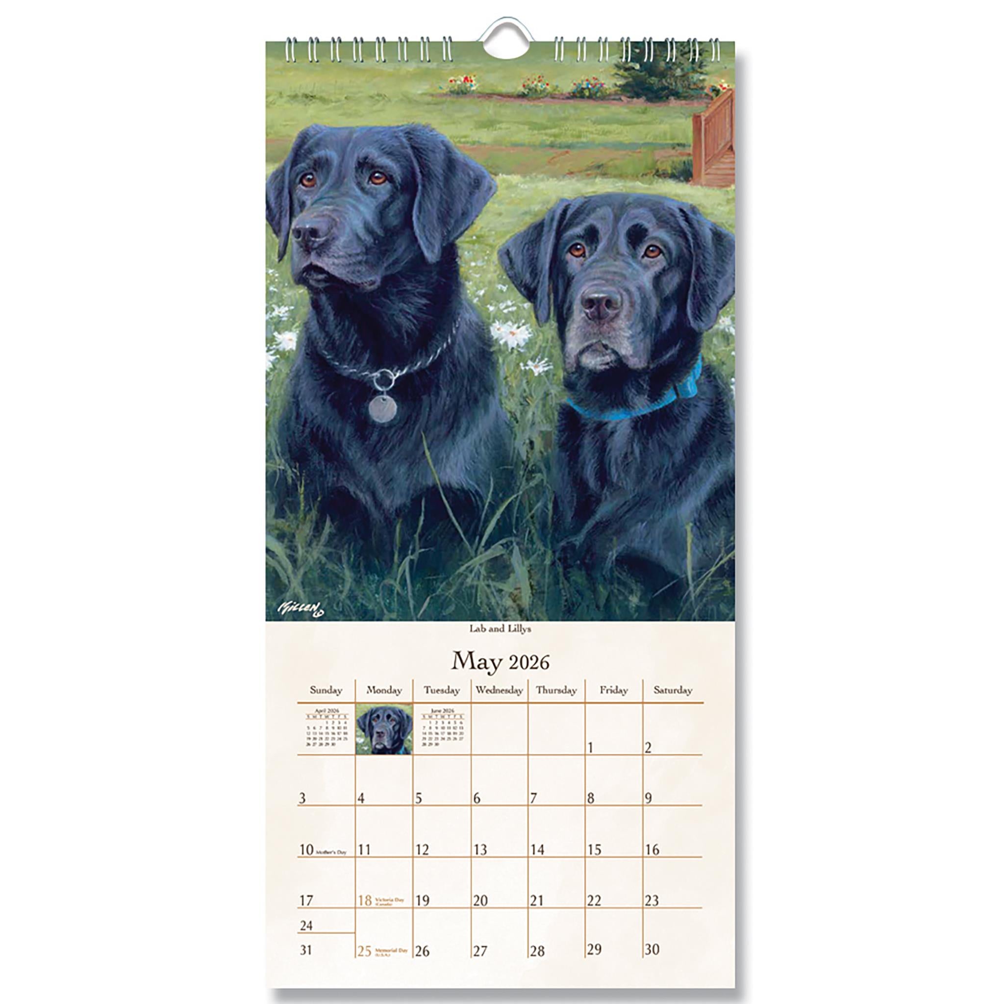 Must Love Dogs 2026 Slim Calendar - Online Only
