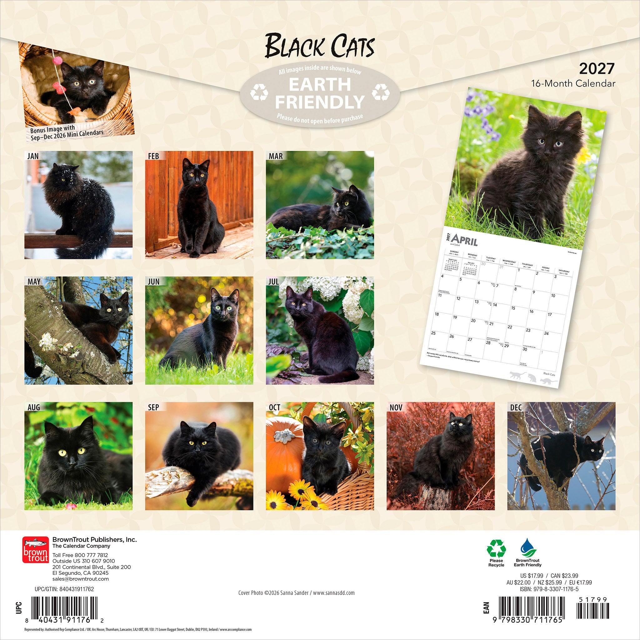 Black Cats 2027 Wall Calendar
