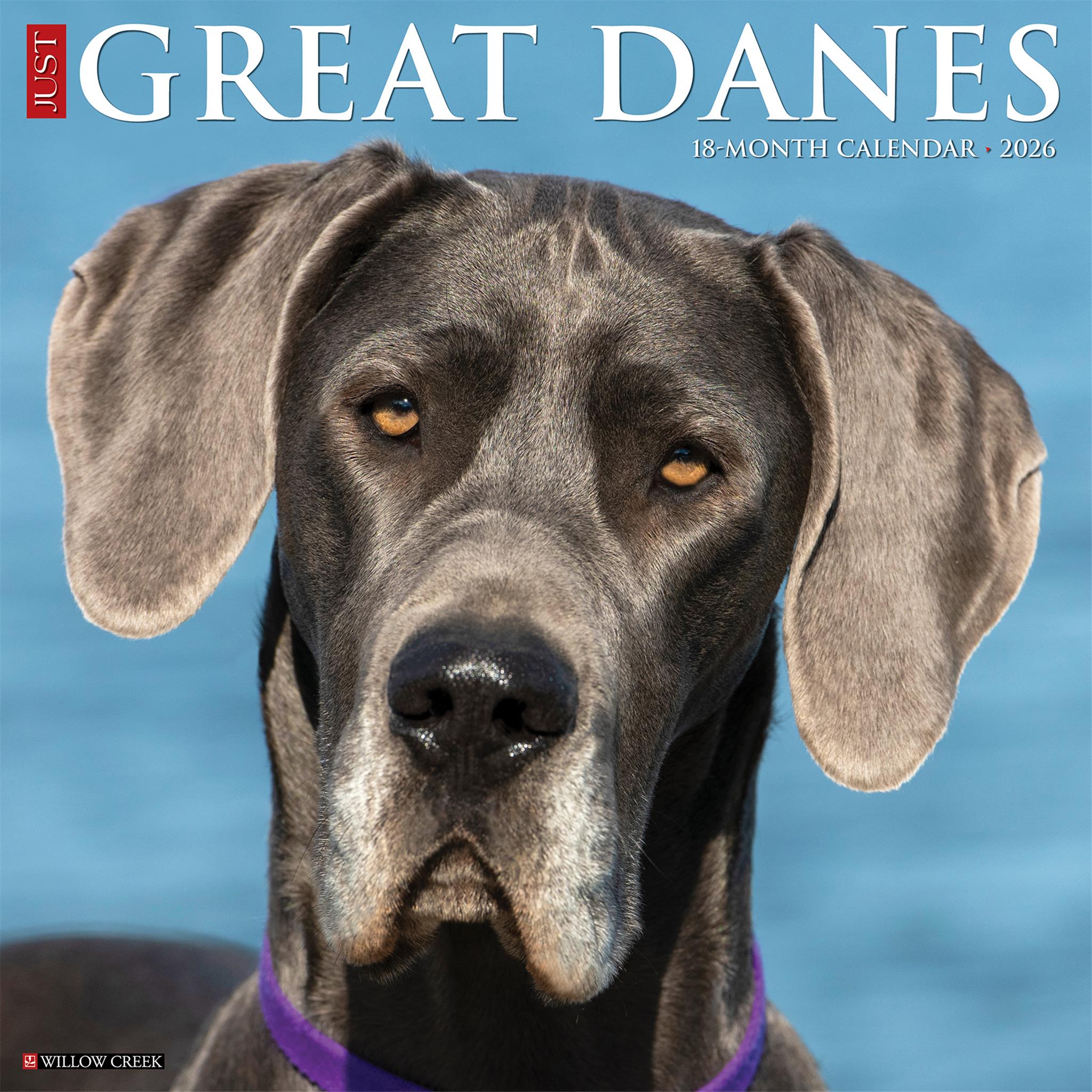 Calendrier mural Just Great Danes 2026